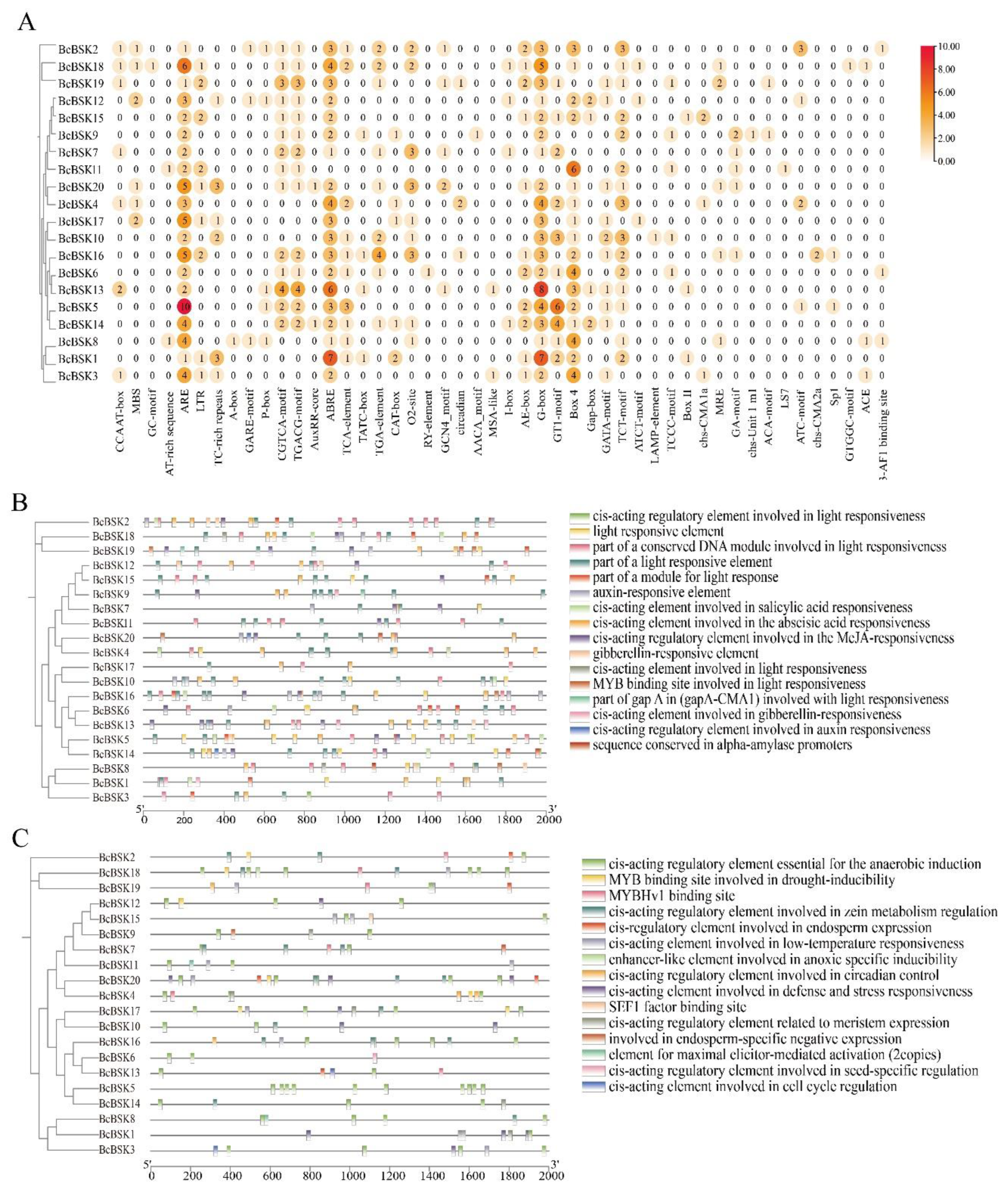 Preprints 207144 g005 Preprints 207144 g005