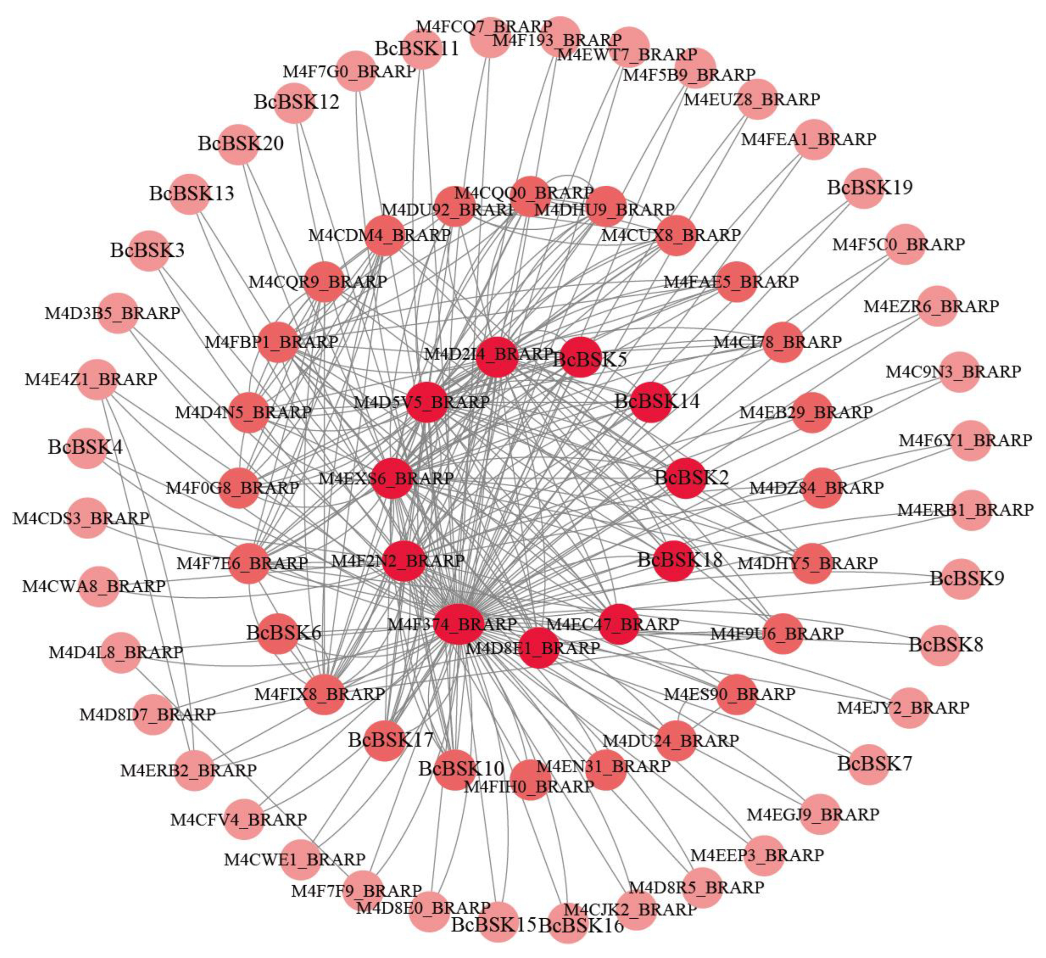 Preprints 207144 g006 Preprints 207144 g006