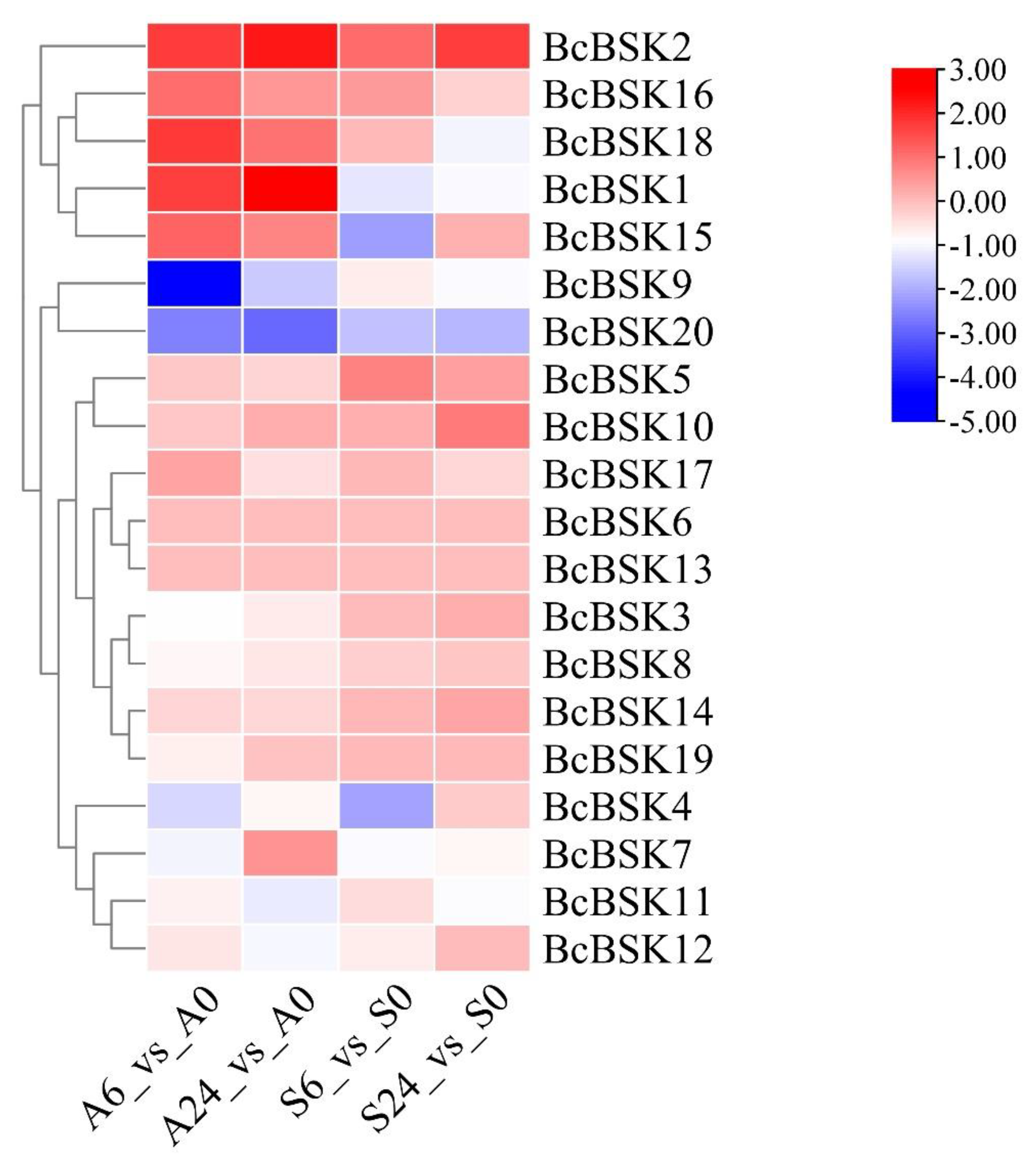 Preprints 207144 g007 Preprints 207144 g007