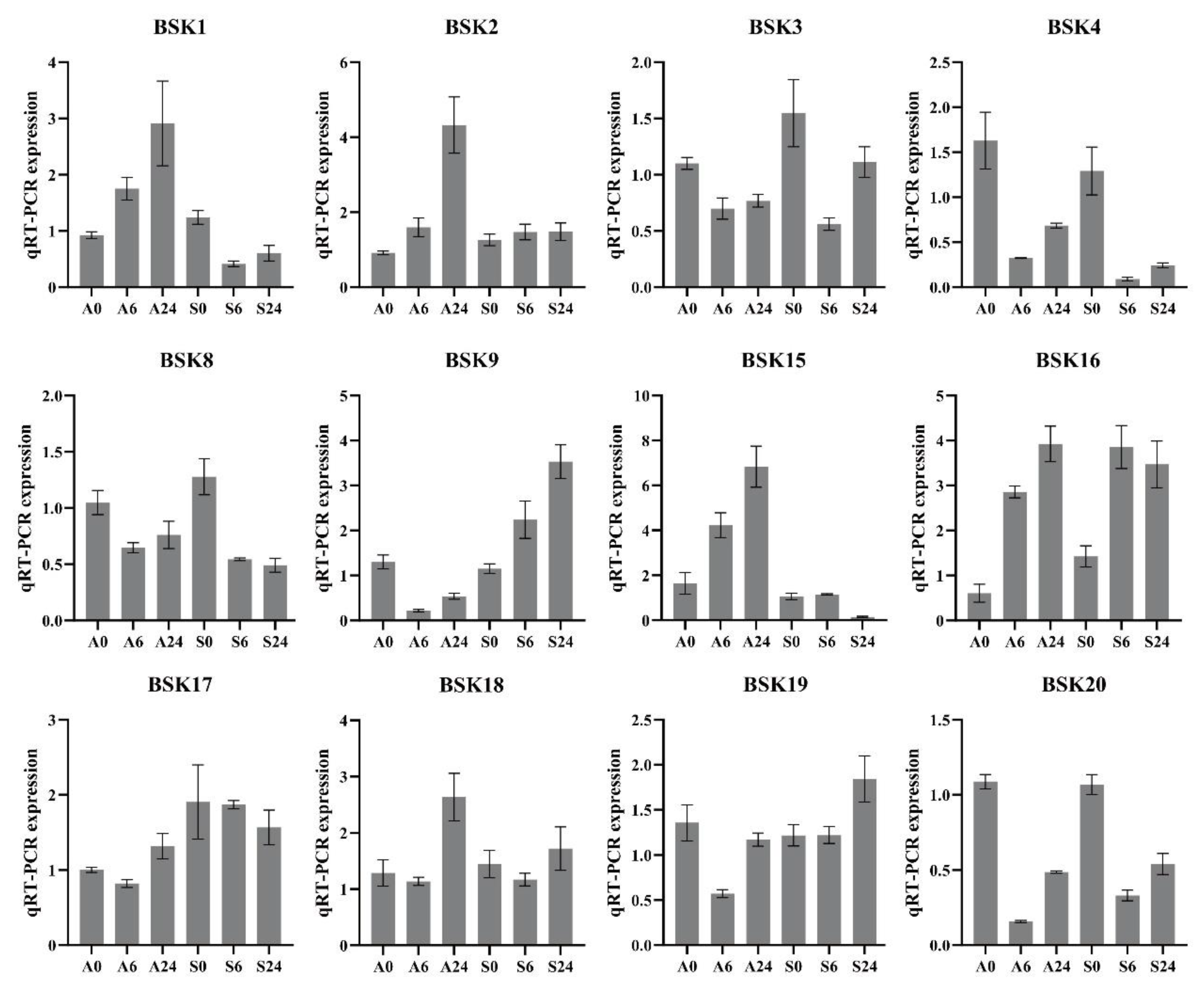 Preprints 207144 g008 Preprints 207144 g008