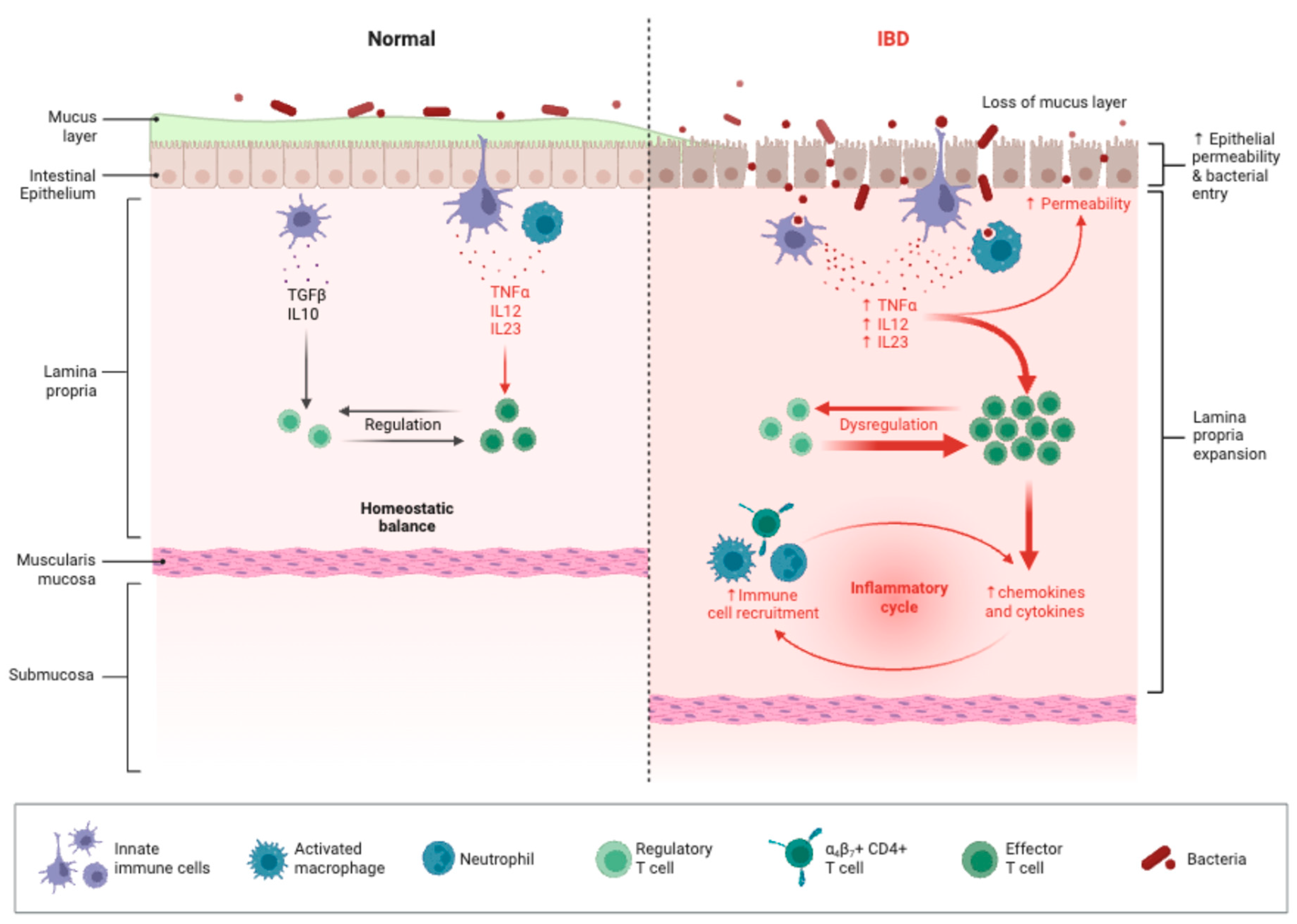 Preprints 161669 g001