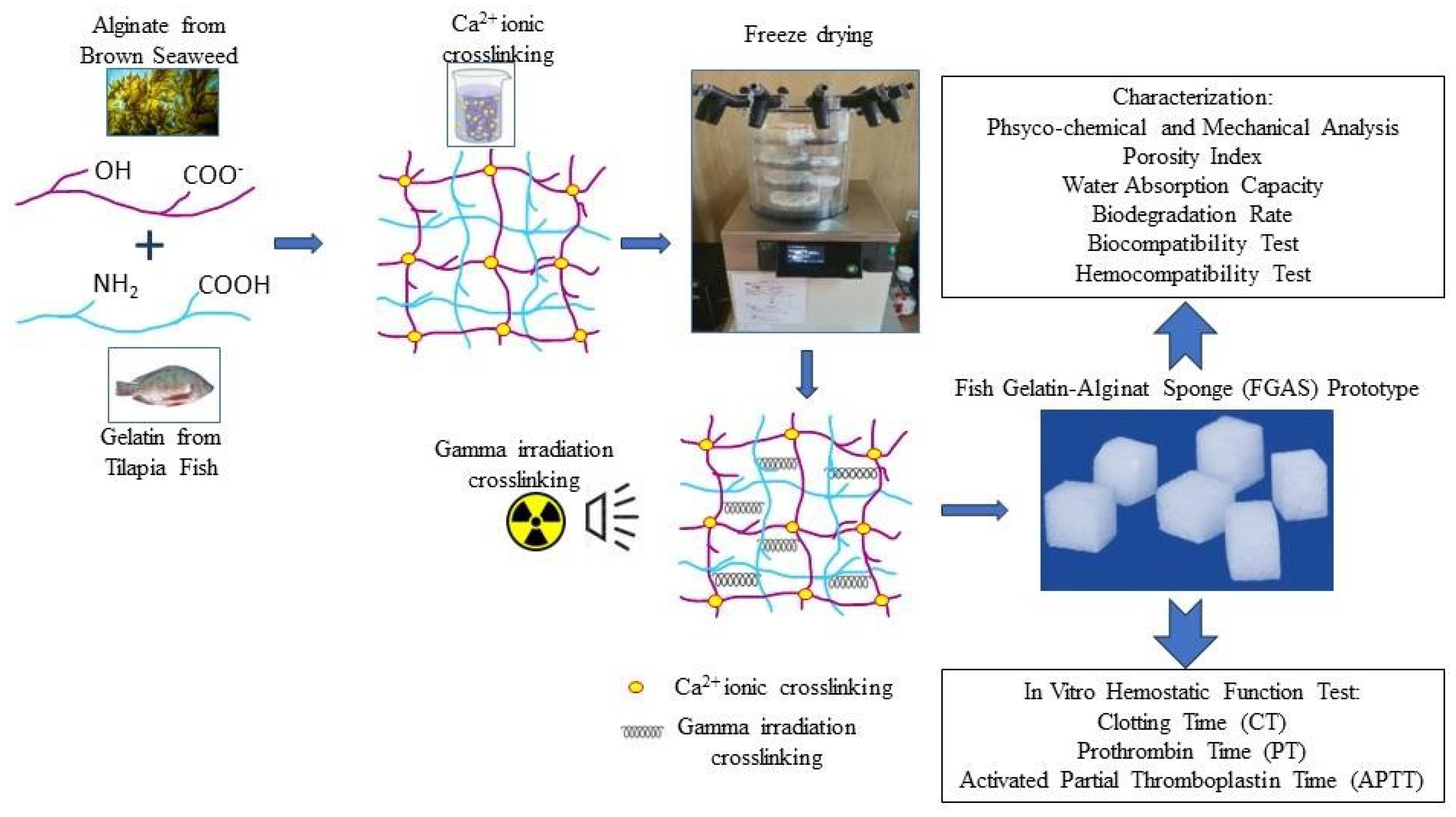 Preprints 106416 g001
