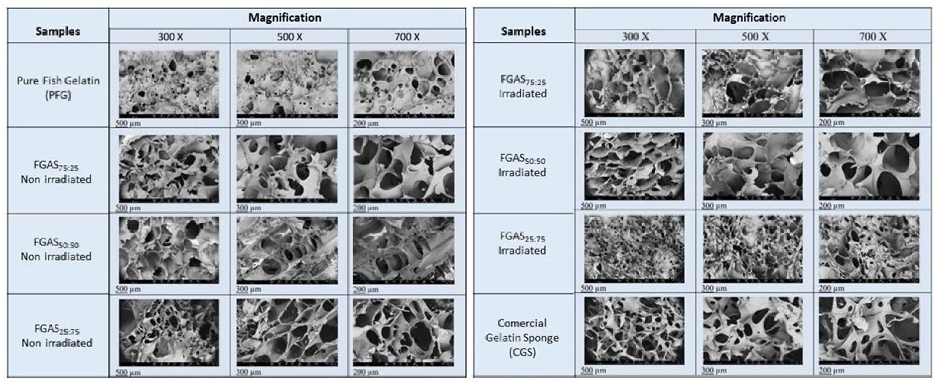 Preprints 106416 g002