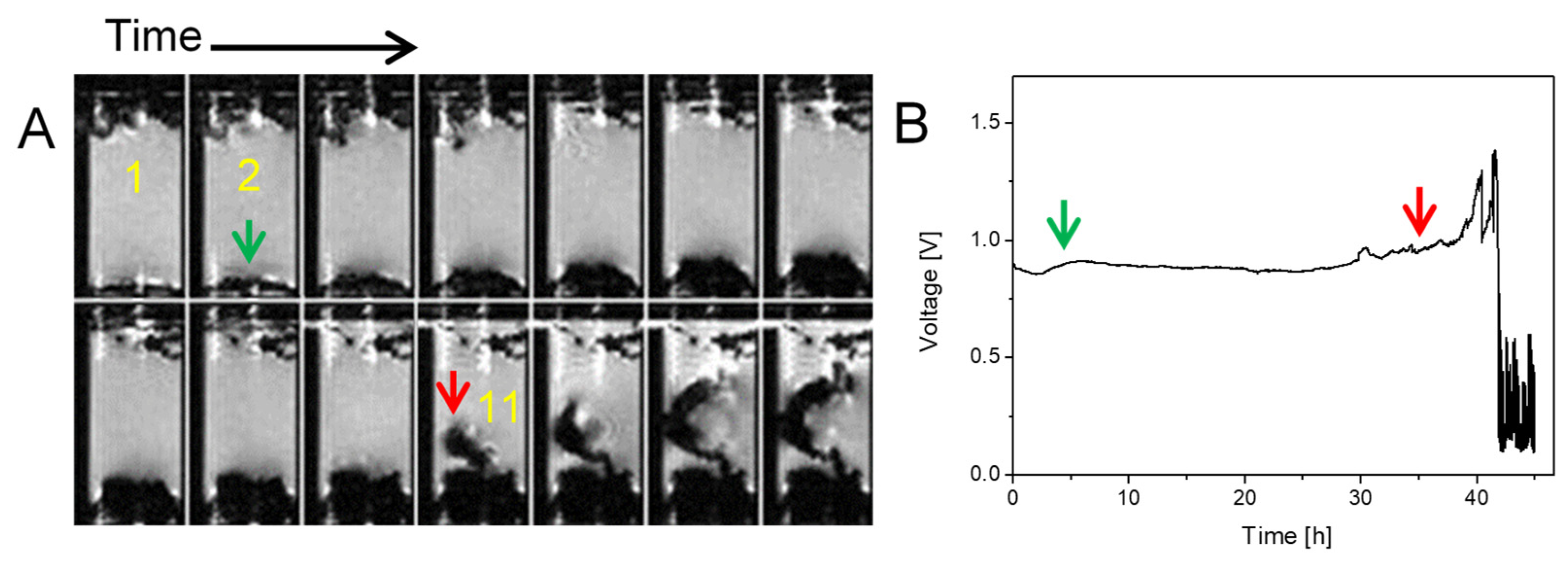 Preprints 161273 g002