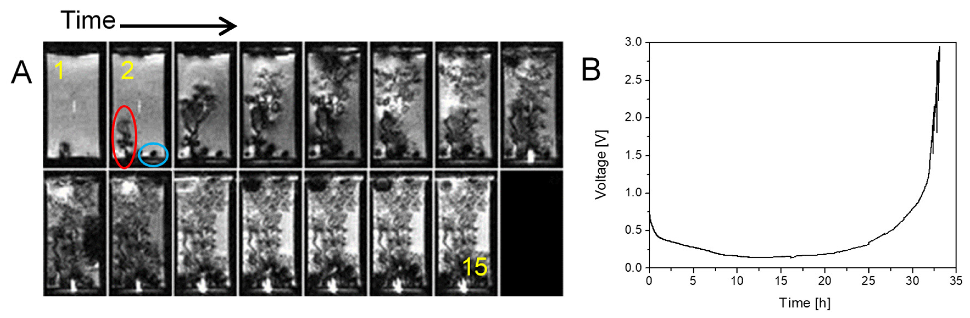Preprints 161273 g003