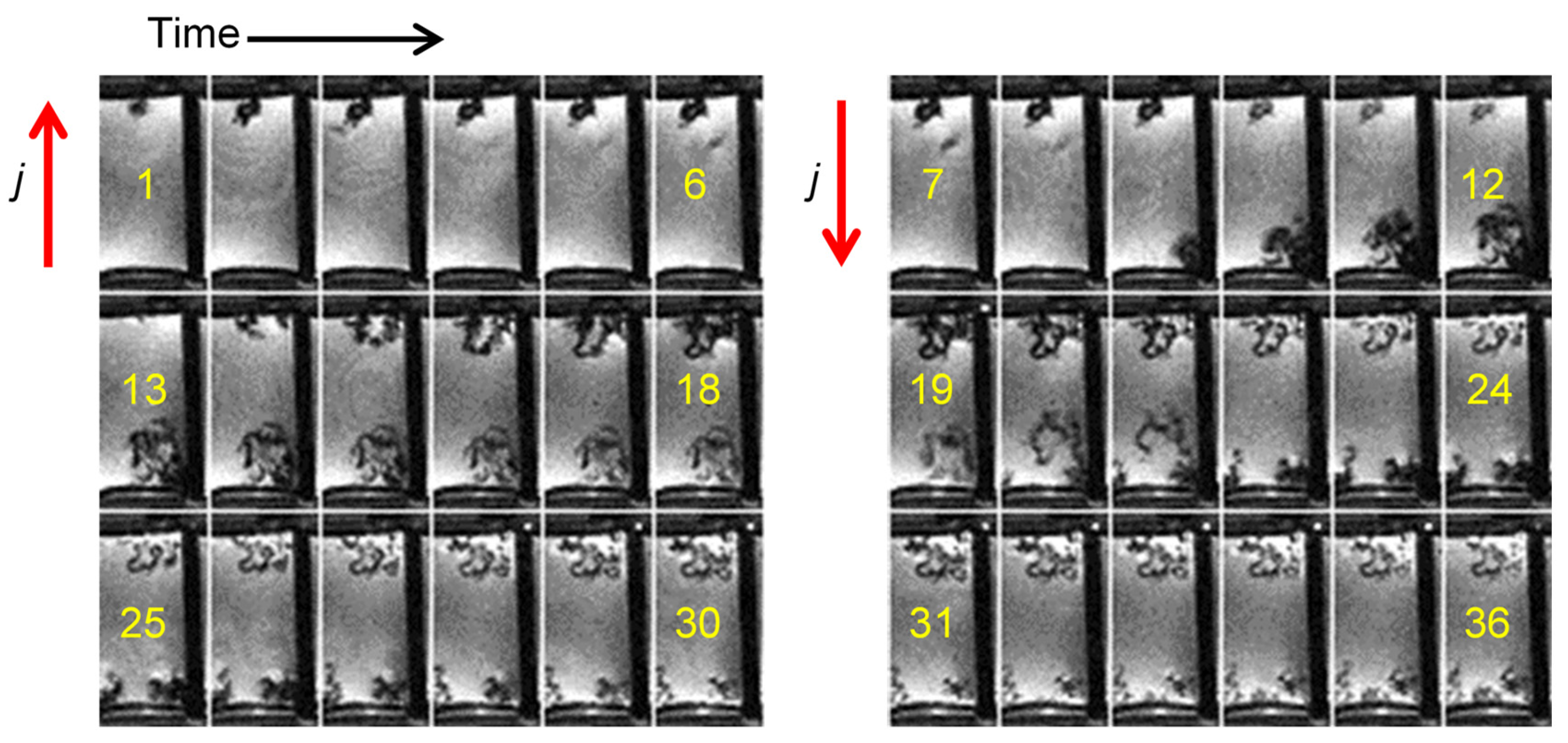 Preprints 161273 g004