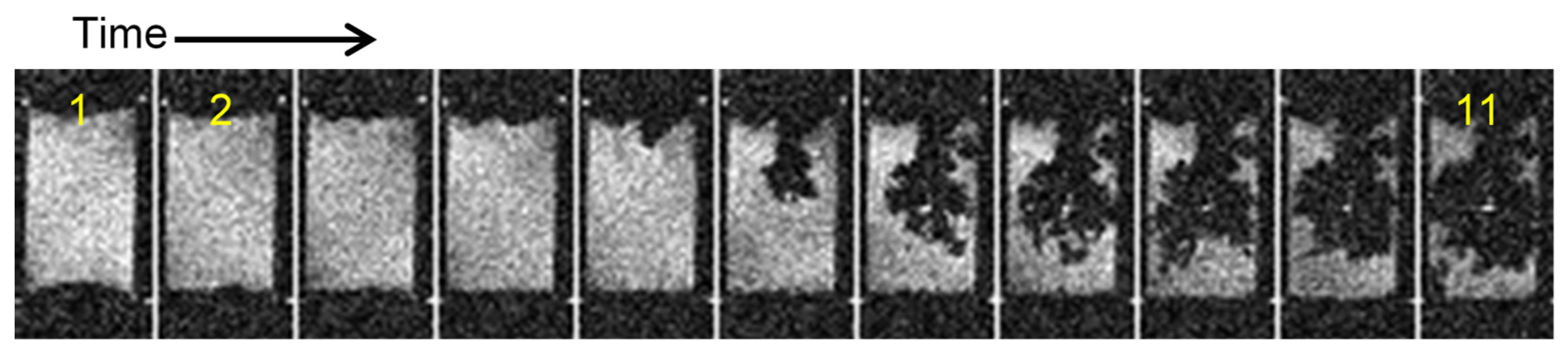 Preprints 161273 g005
