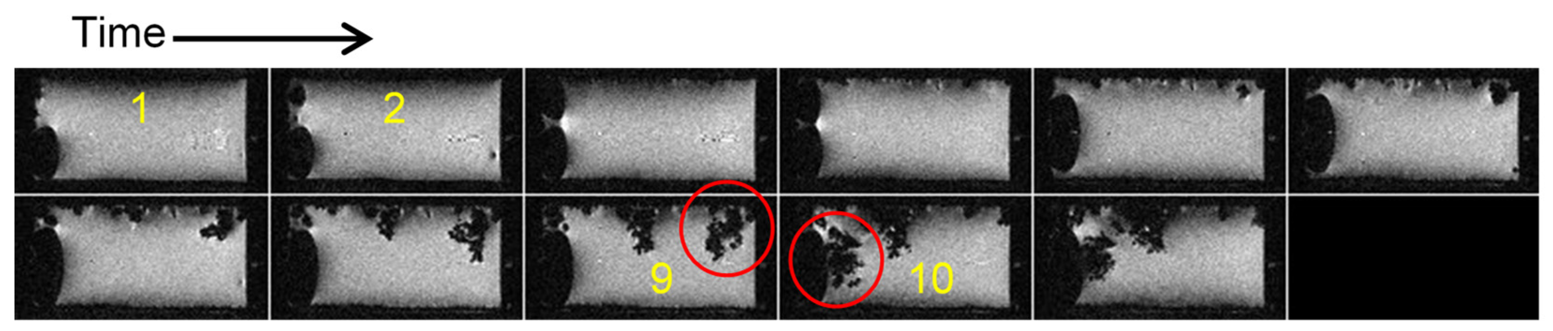 Preprints 161273 g006