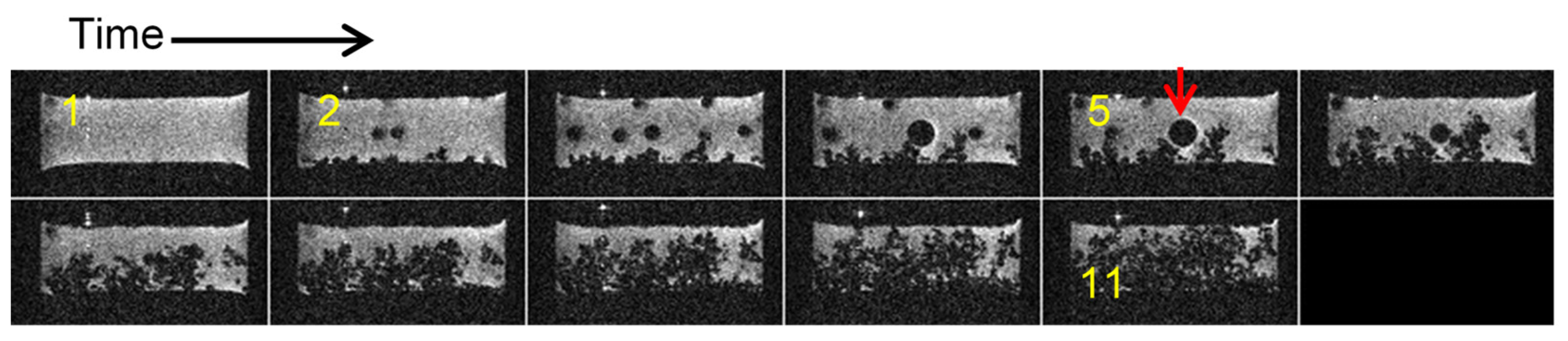Preprints 161273 g007