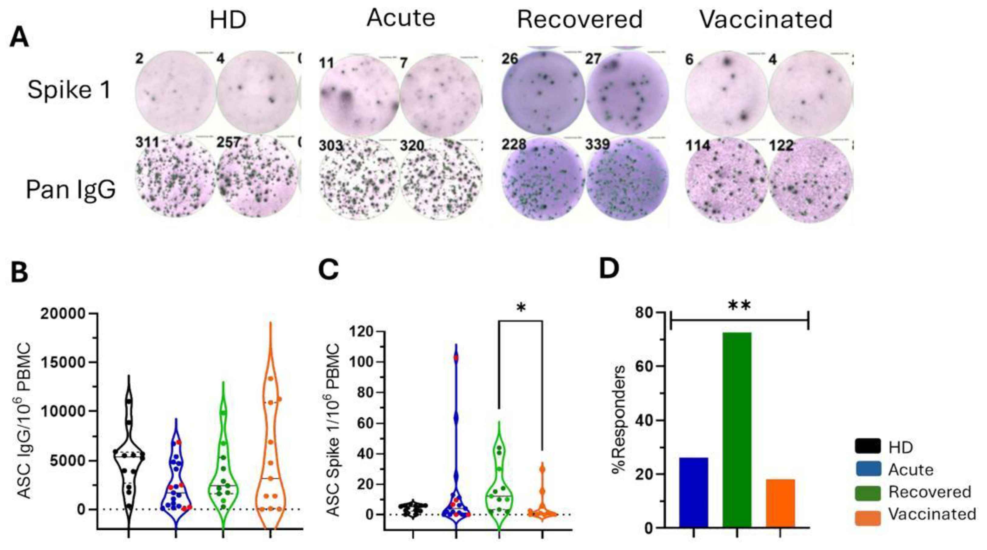 Preprints 140048 g001