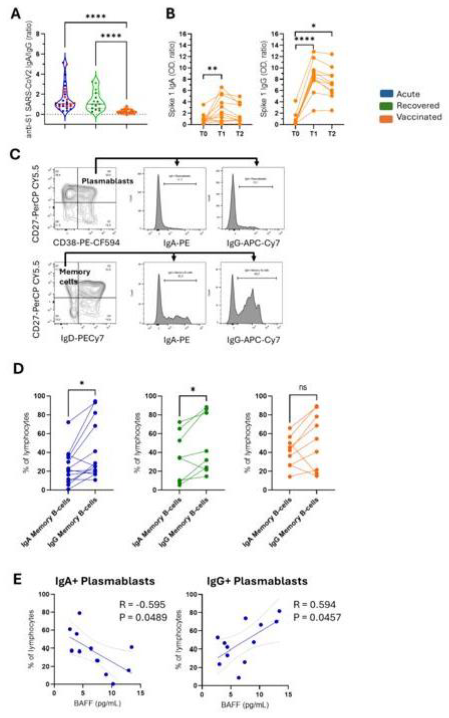 Preprints 140048 g004