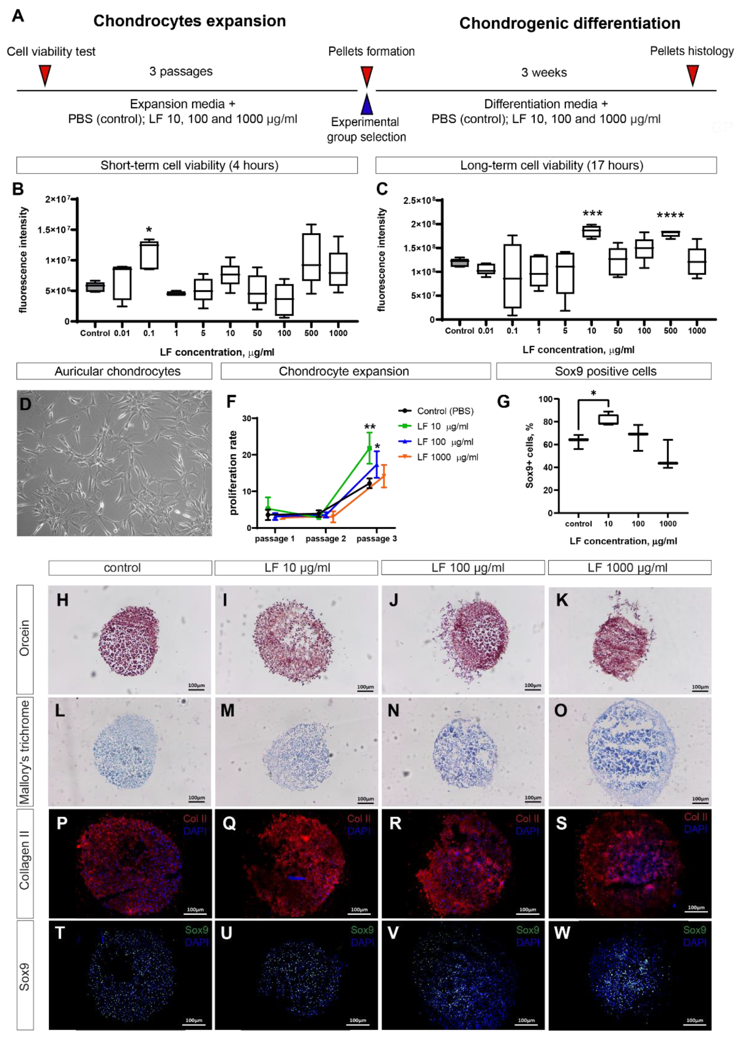 Preprints 142859 g001