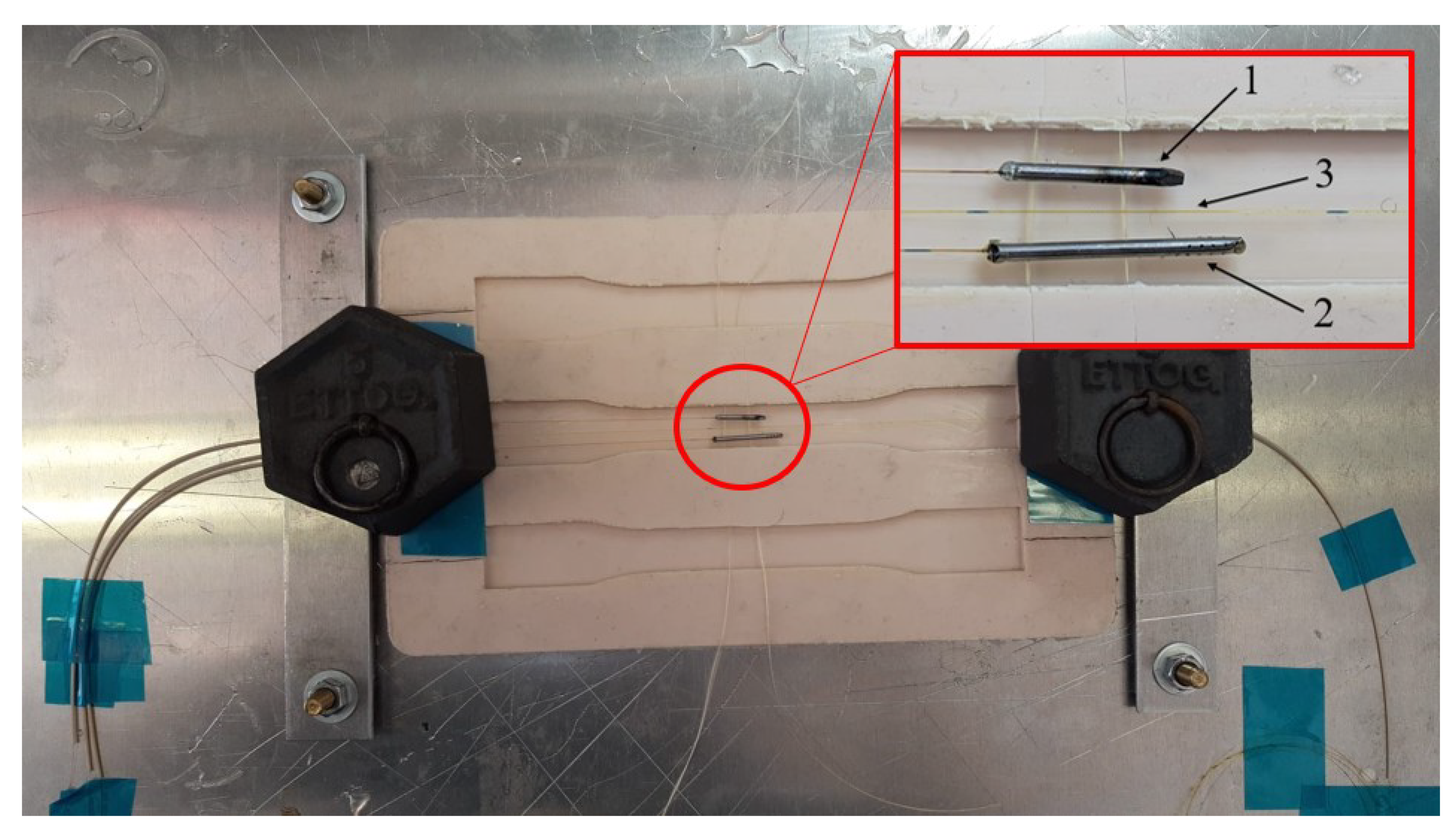Preprints 144588 g007