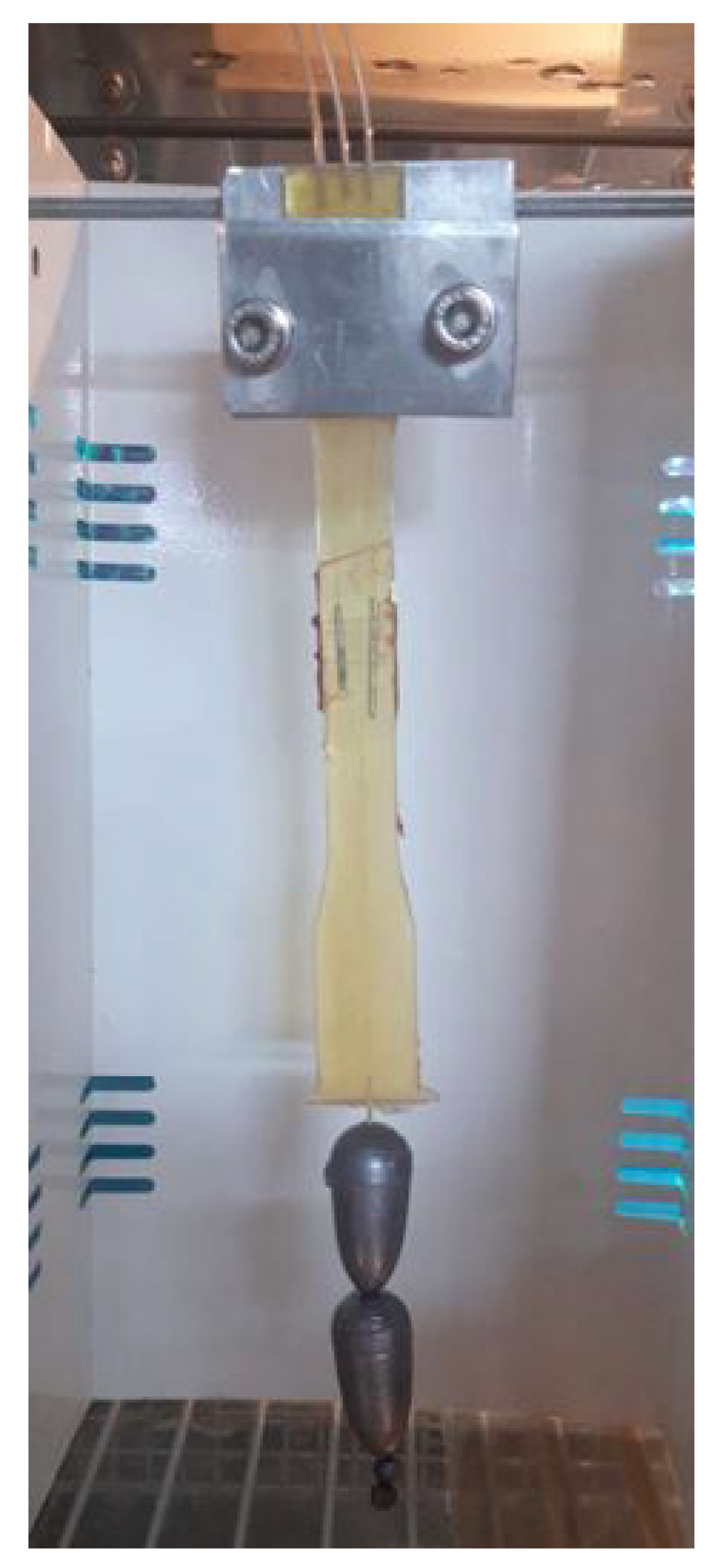 Preprints 144588 g014