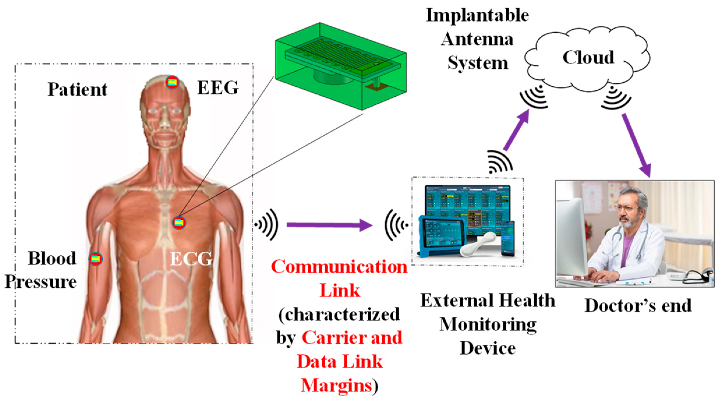 Preprints 157368 g001