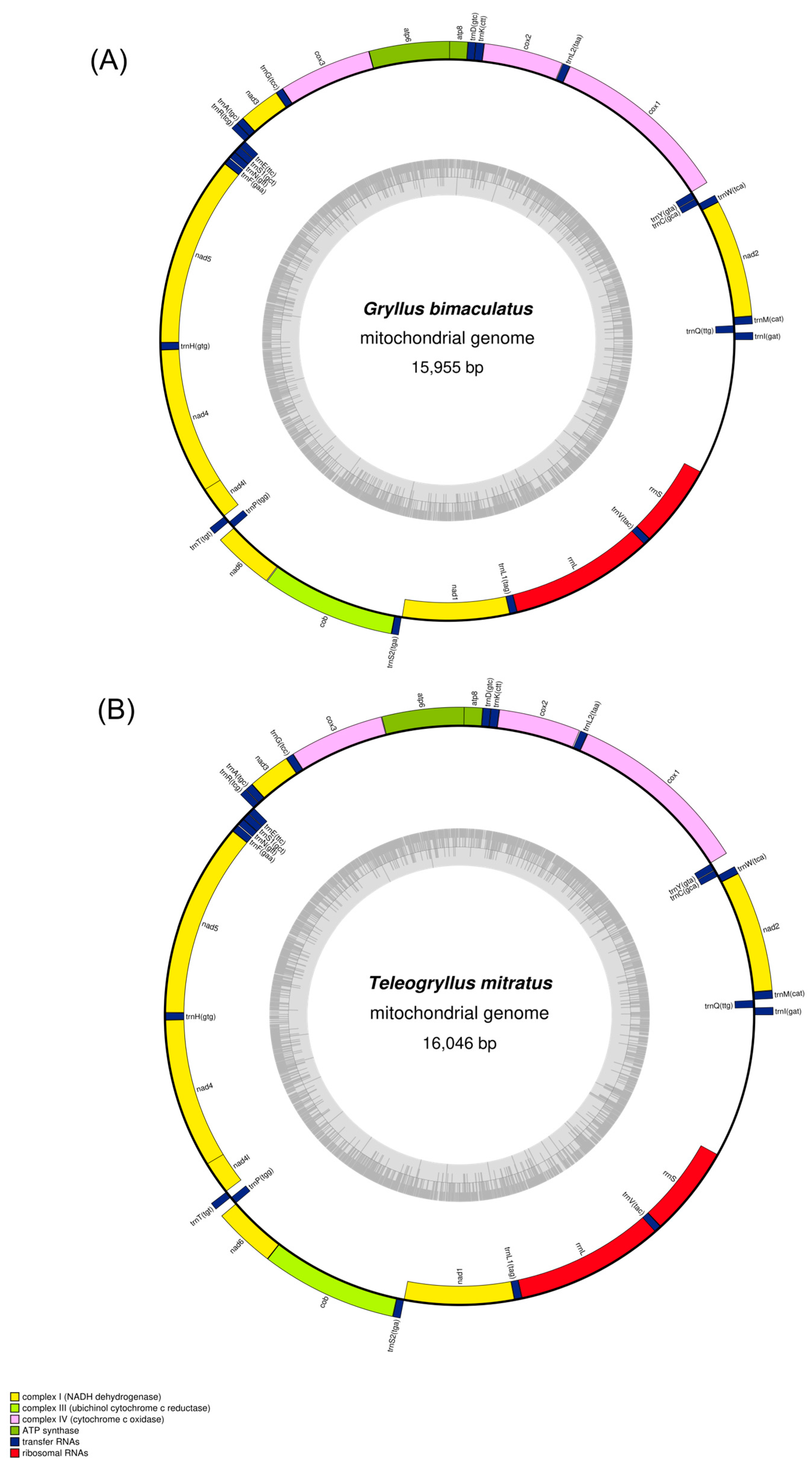 Preprints 202952 g001