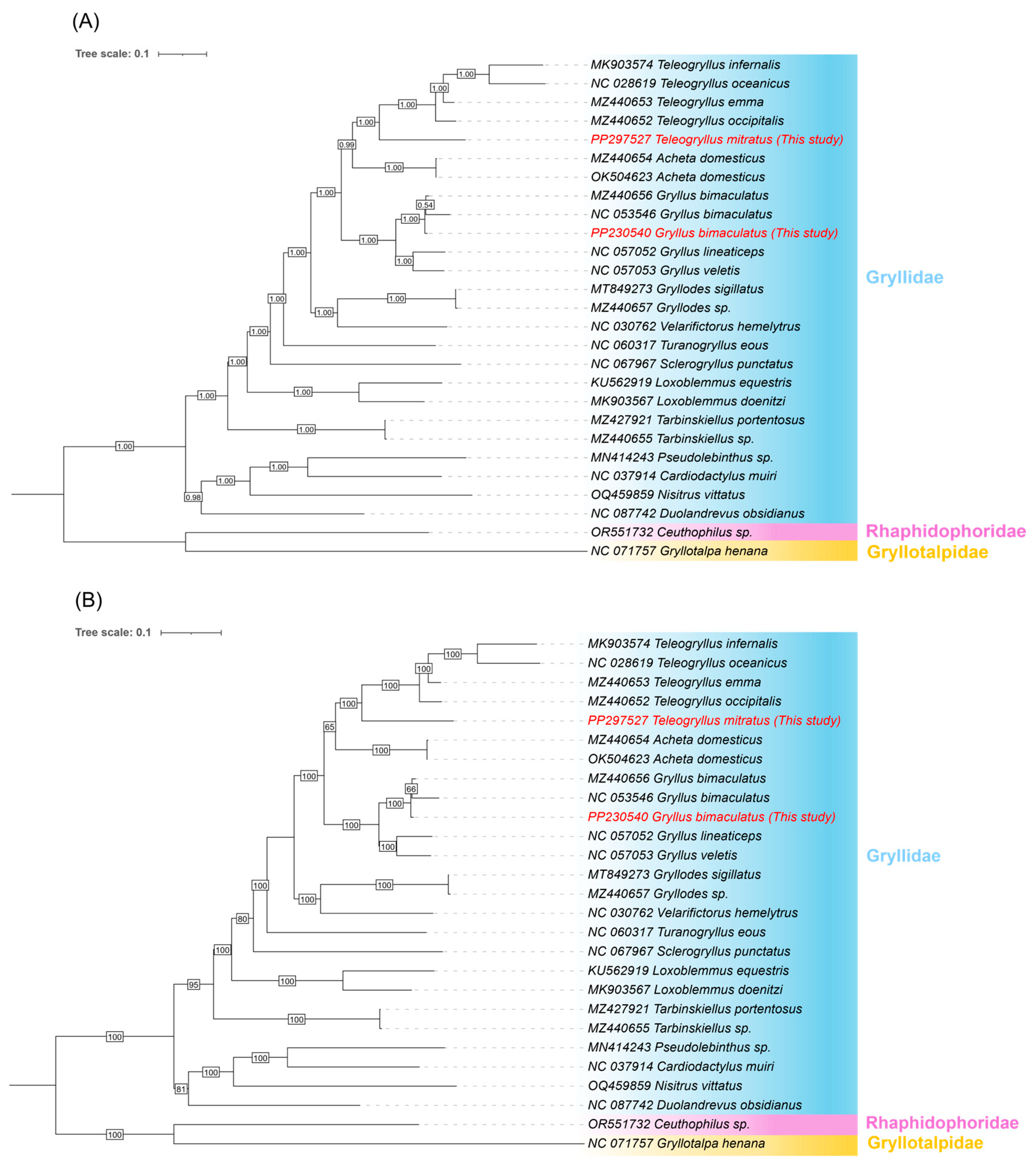 Preprints 202952 g006