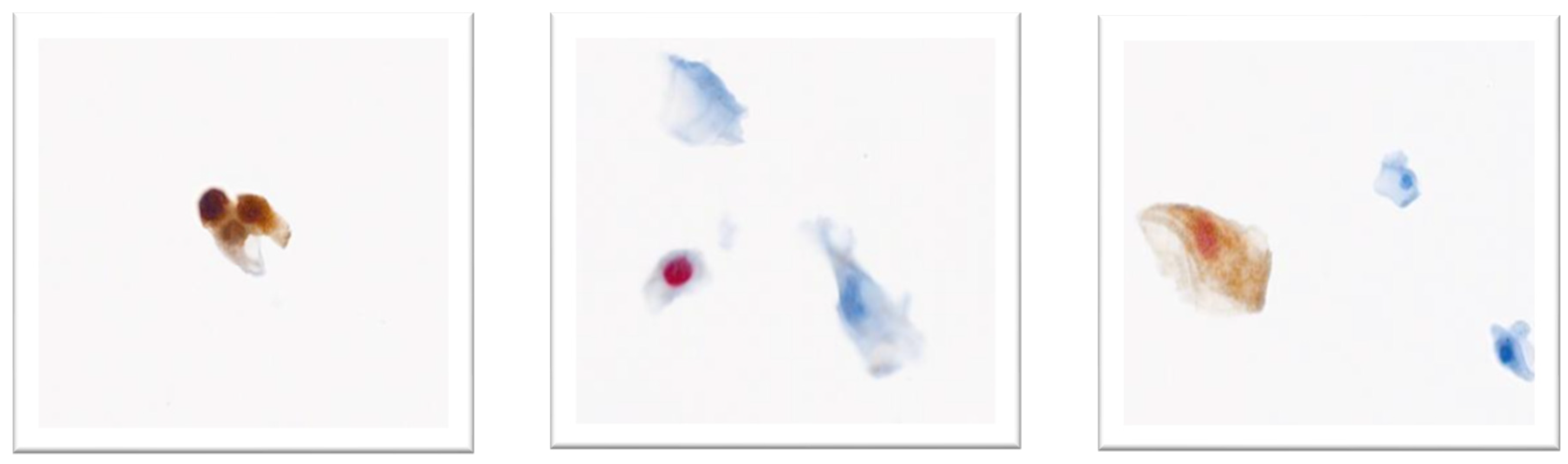 Preprints 221268 g001