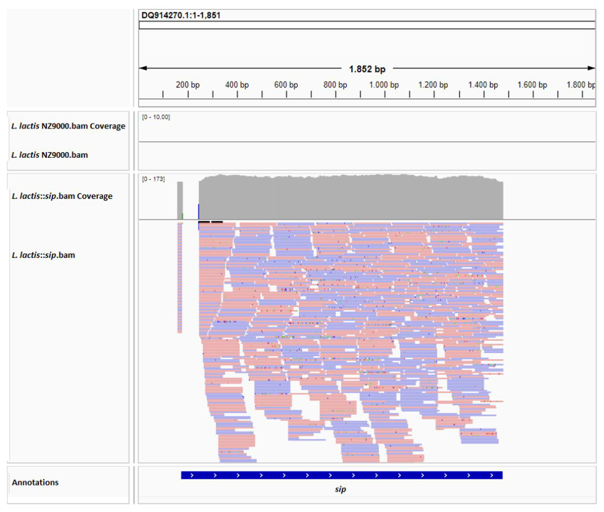 Preprints 217086 g003 Preprints 217086 g003
