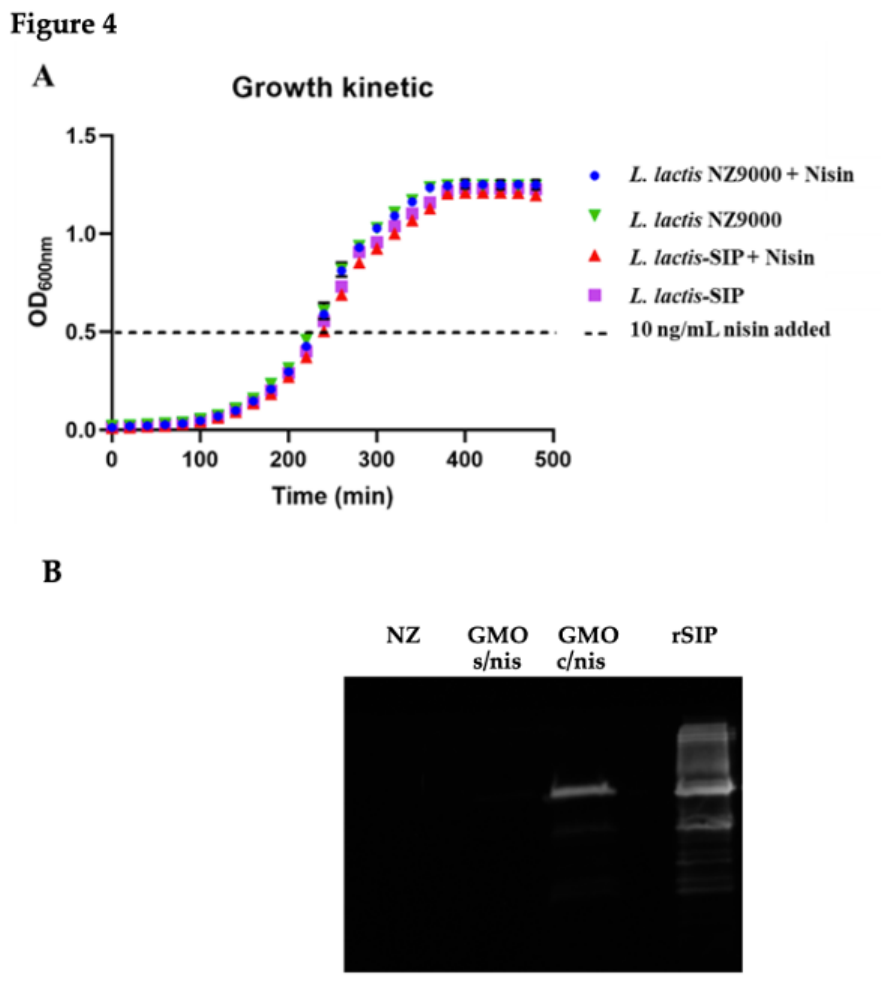 Preprints 217086 g004 Preprints 217086 g004