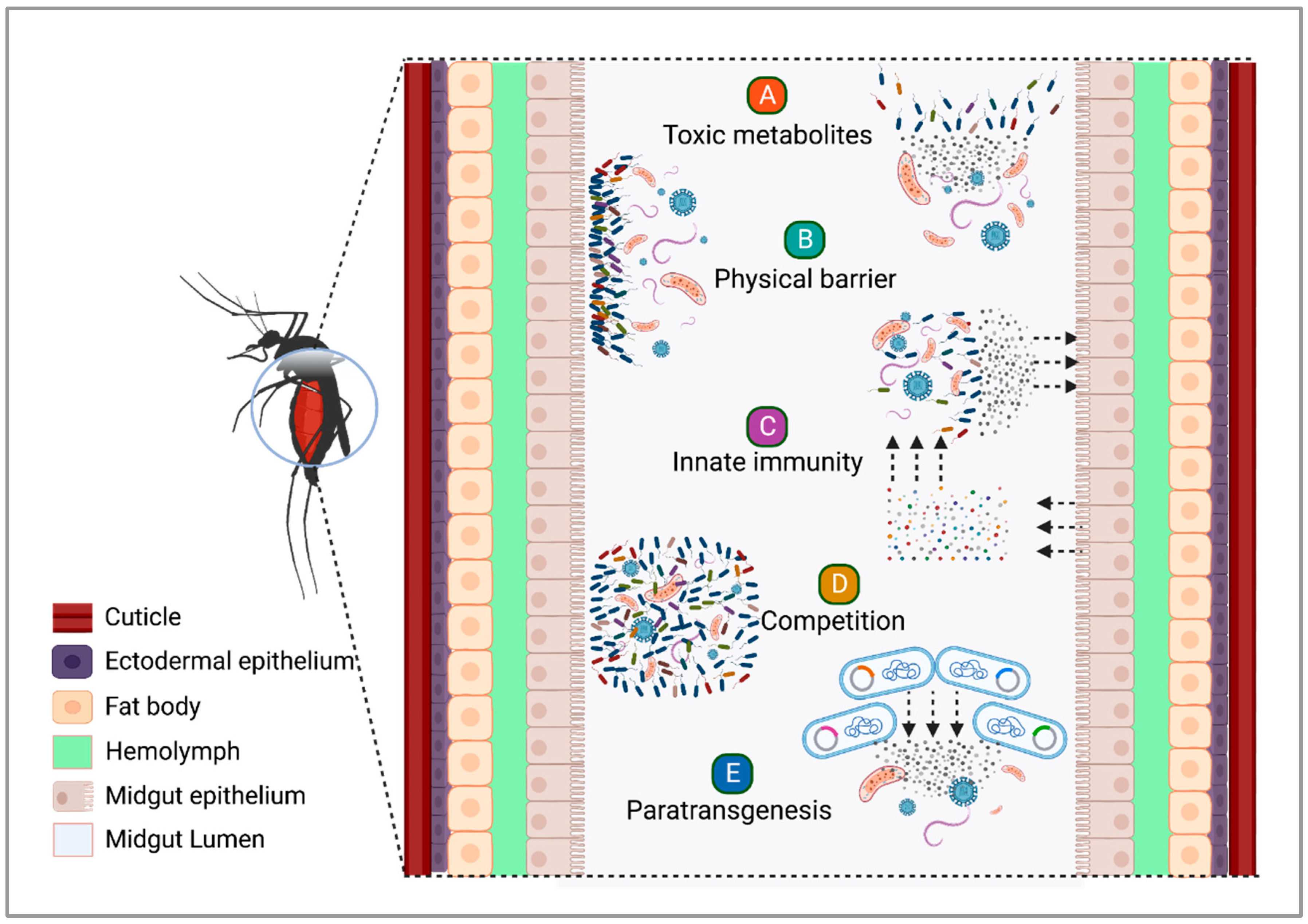 Preprints 77436 g002