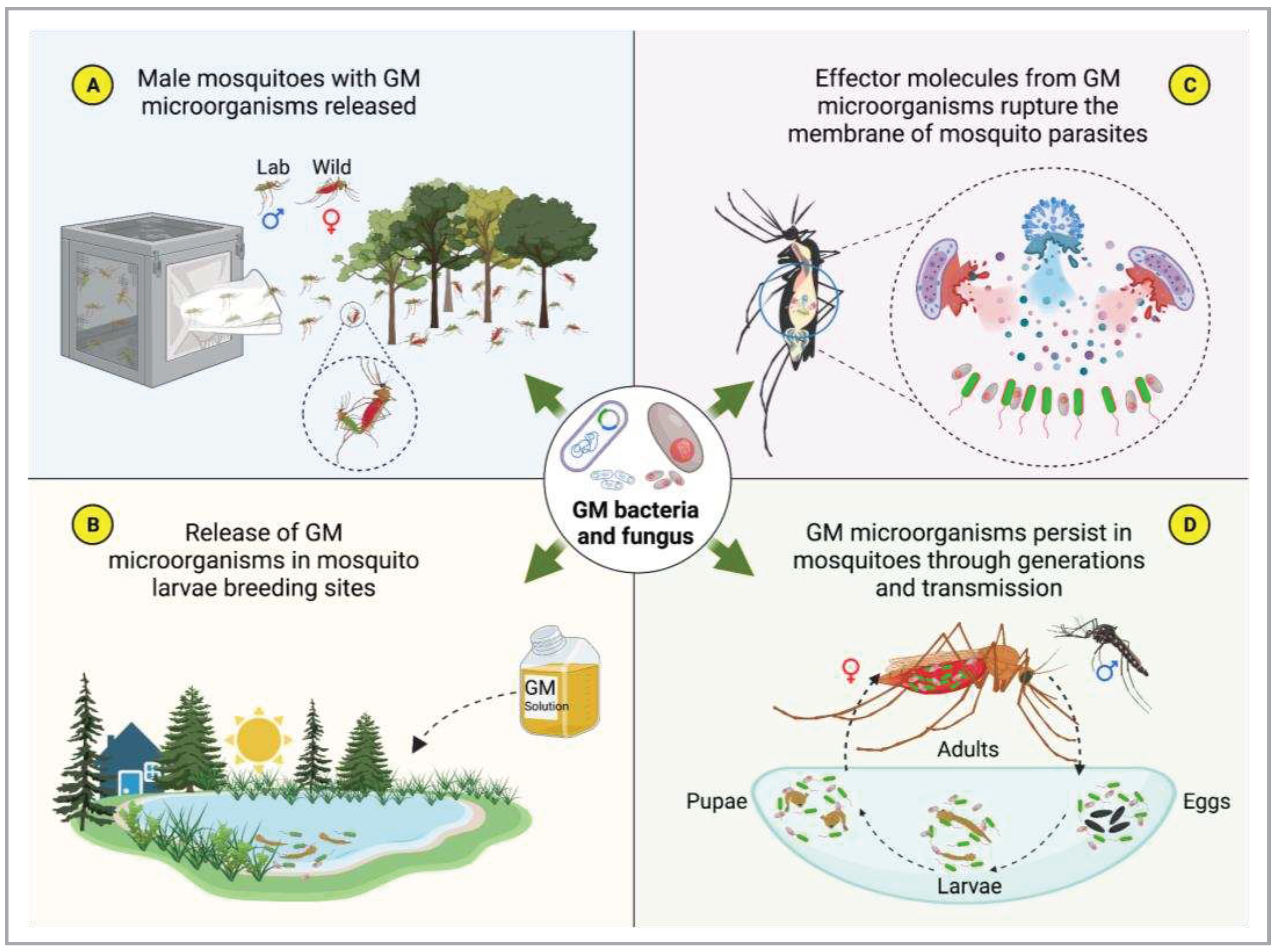 Preprints 77436 g003