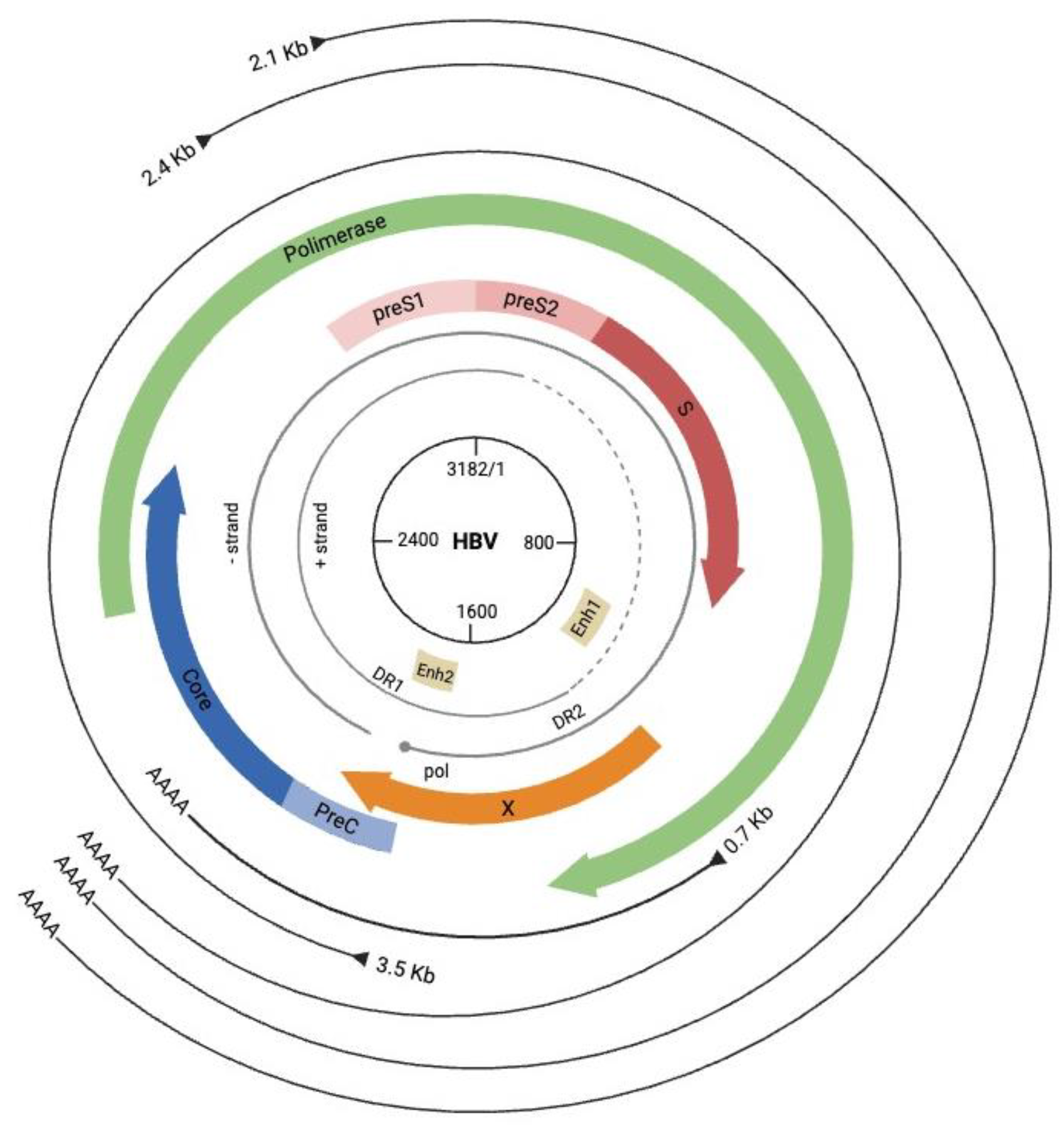 Preprints 151635 g001