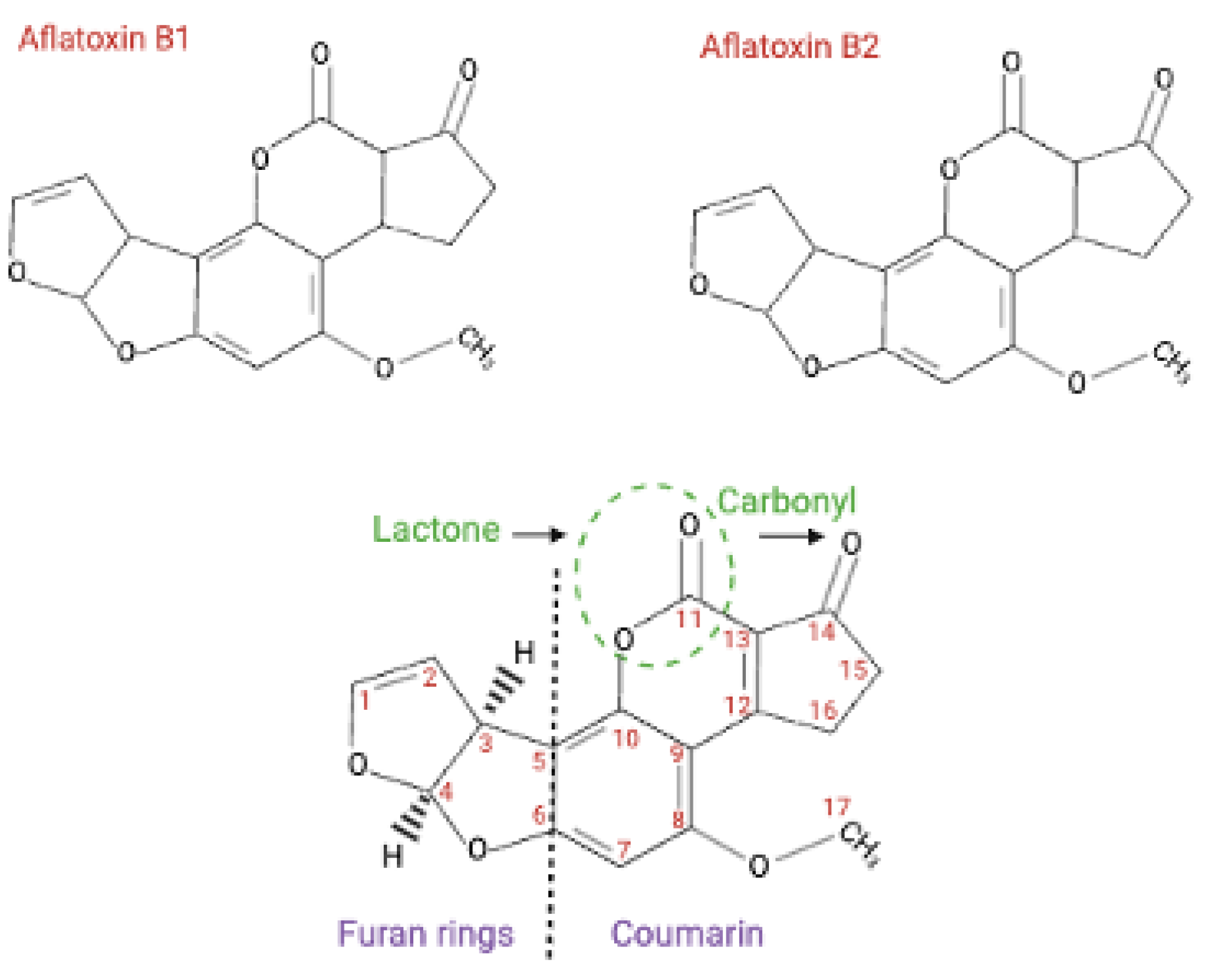 Preprints 151635 g002