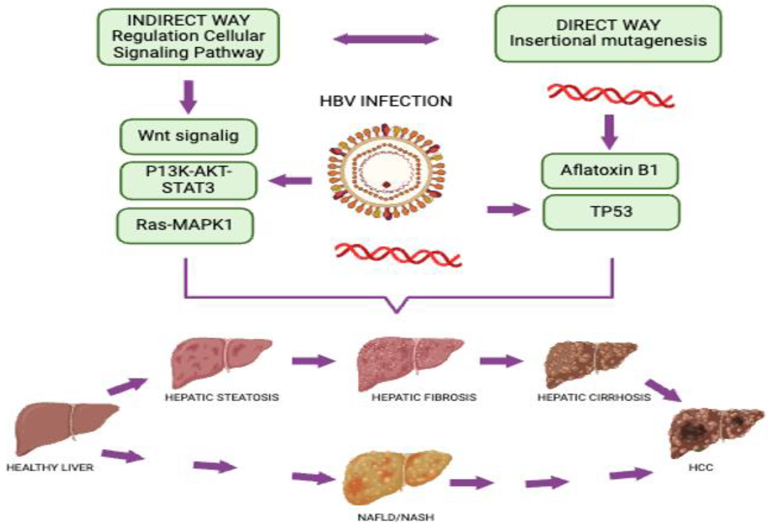 Preprints 151635 g003