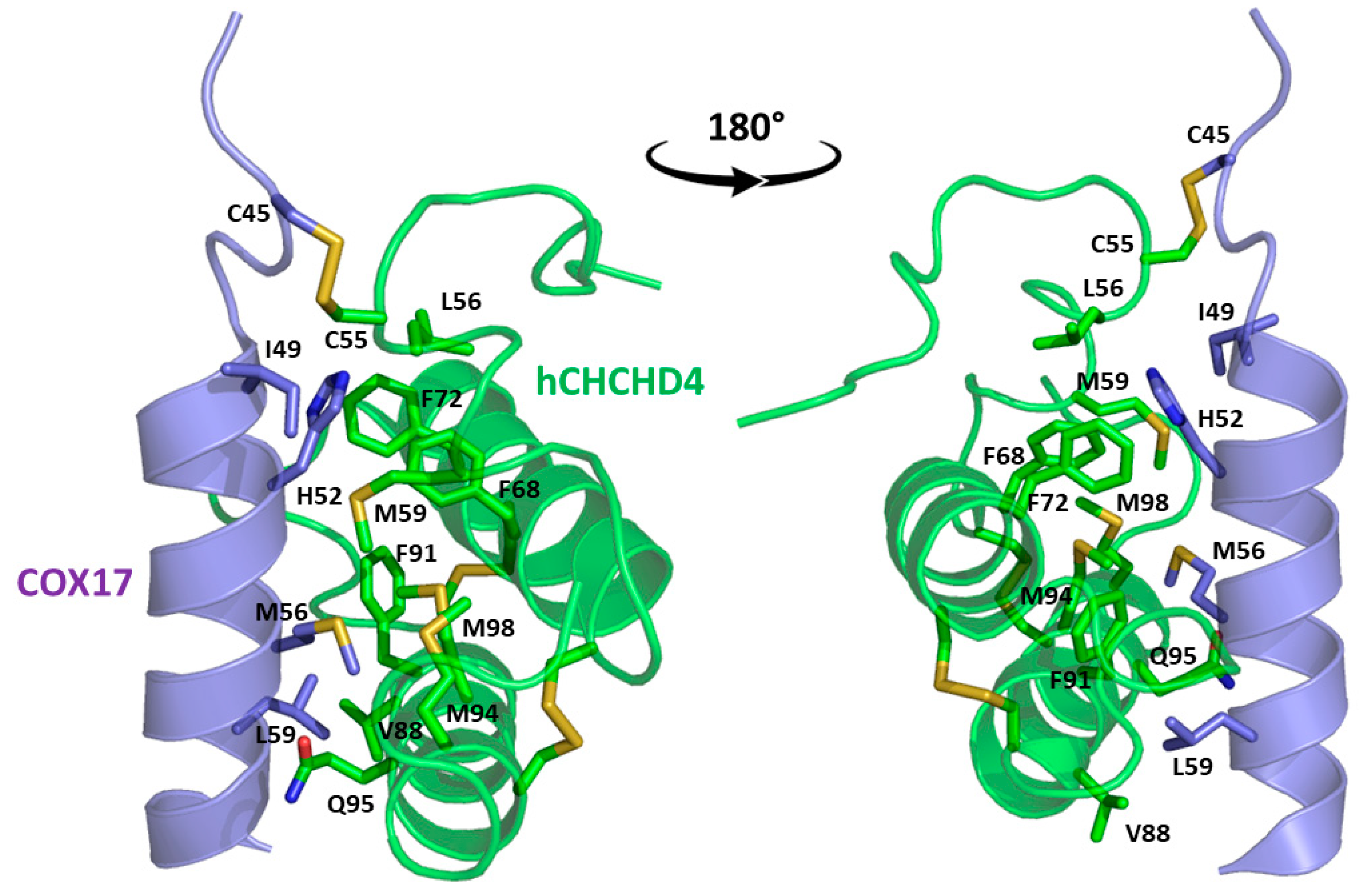Preprints 153591 g002