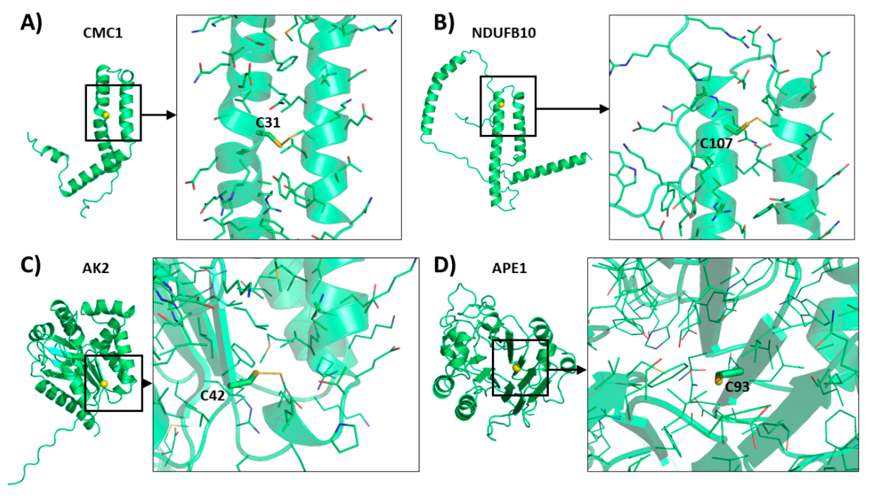 Preprints 153591 g004