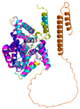 Preprints 153591 i021