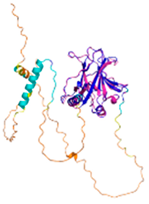 Preprints 153591 i060