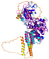Preprints 153591 i062
