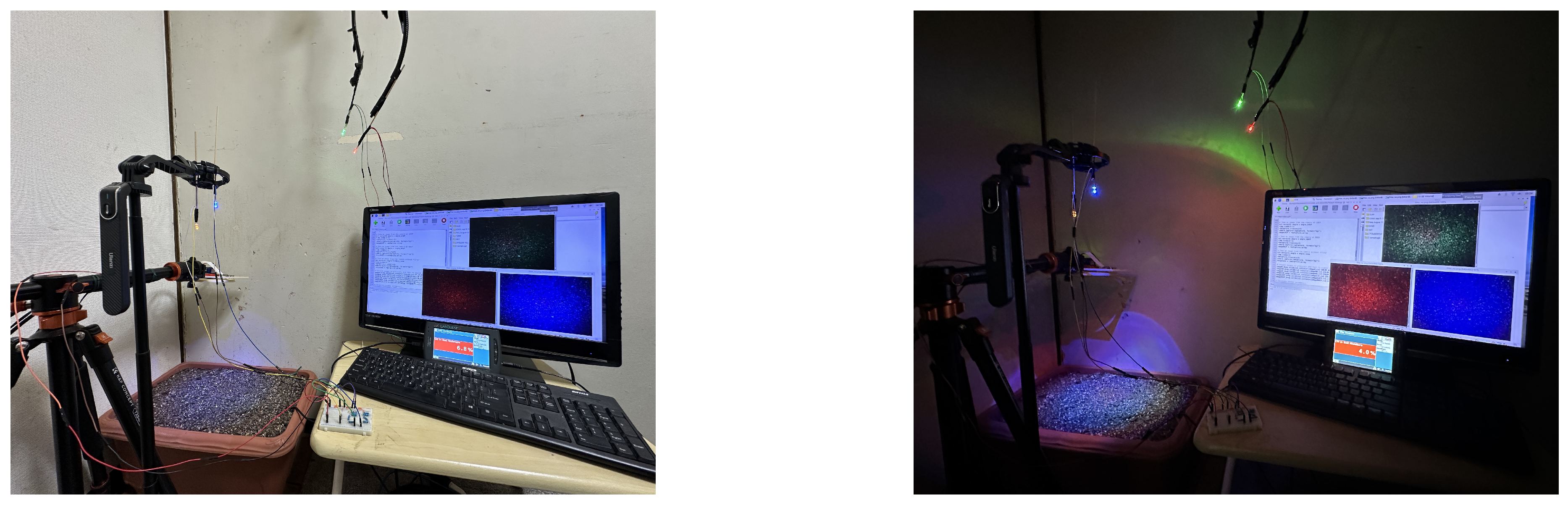 Preprints 143254 g002