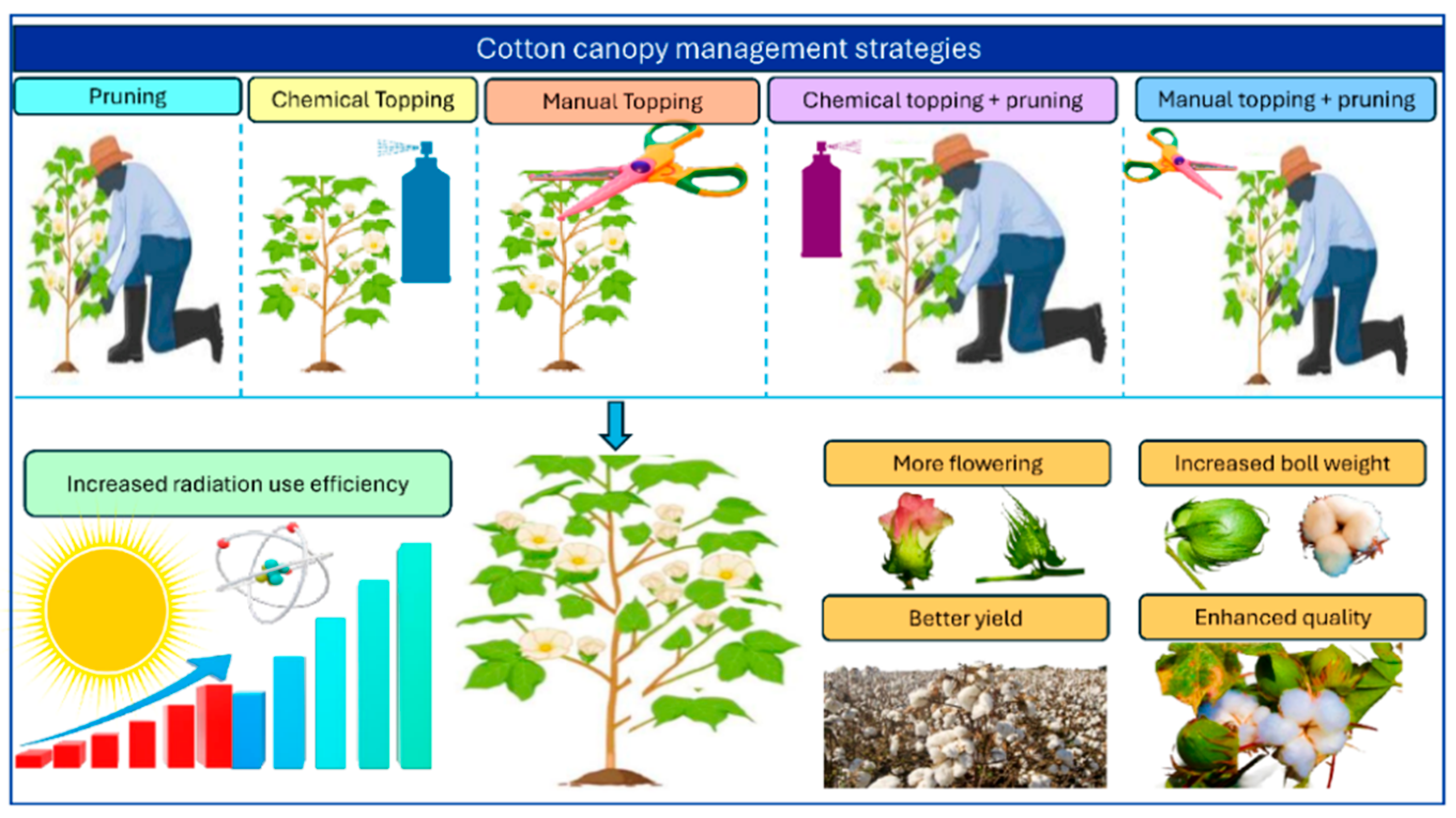 Preprints 172904 g001