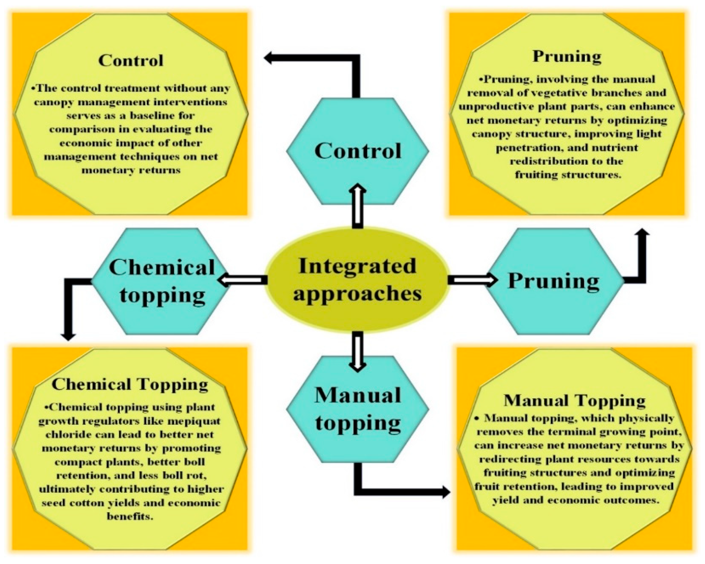 Preprints 172904 g002