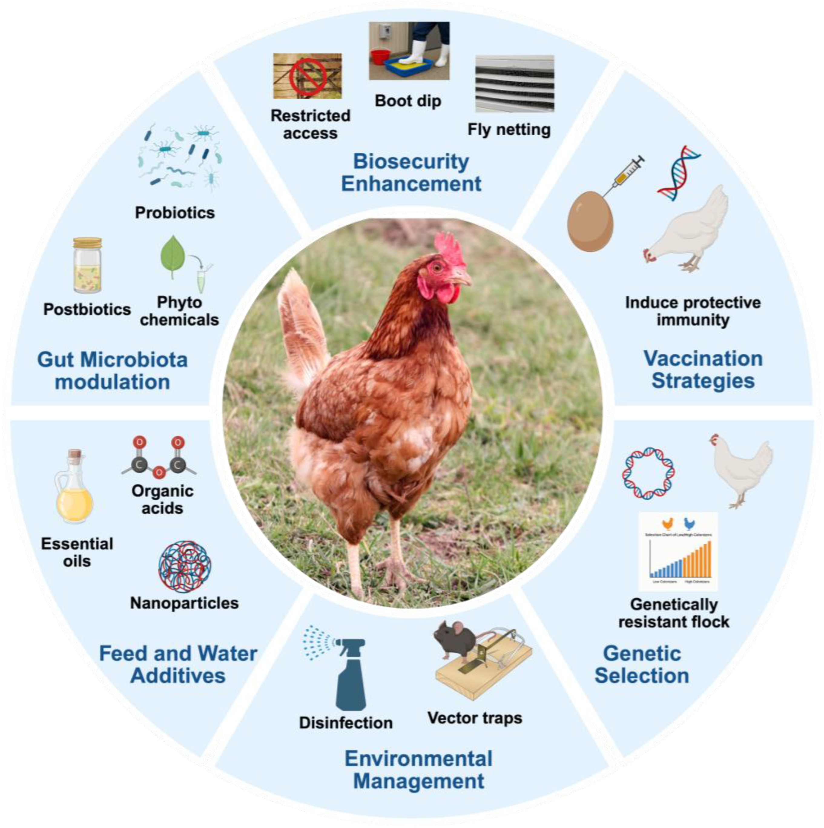 Preprints 172256 g001