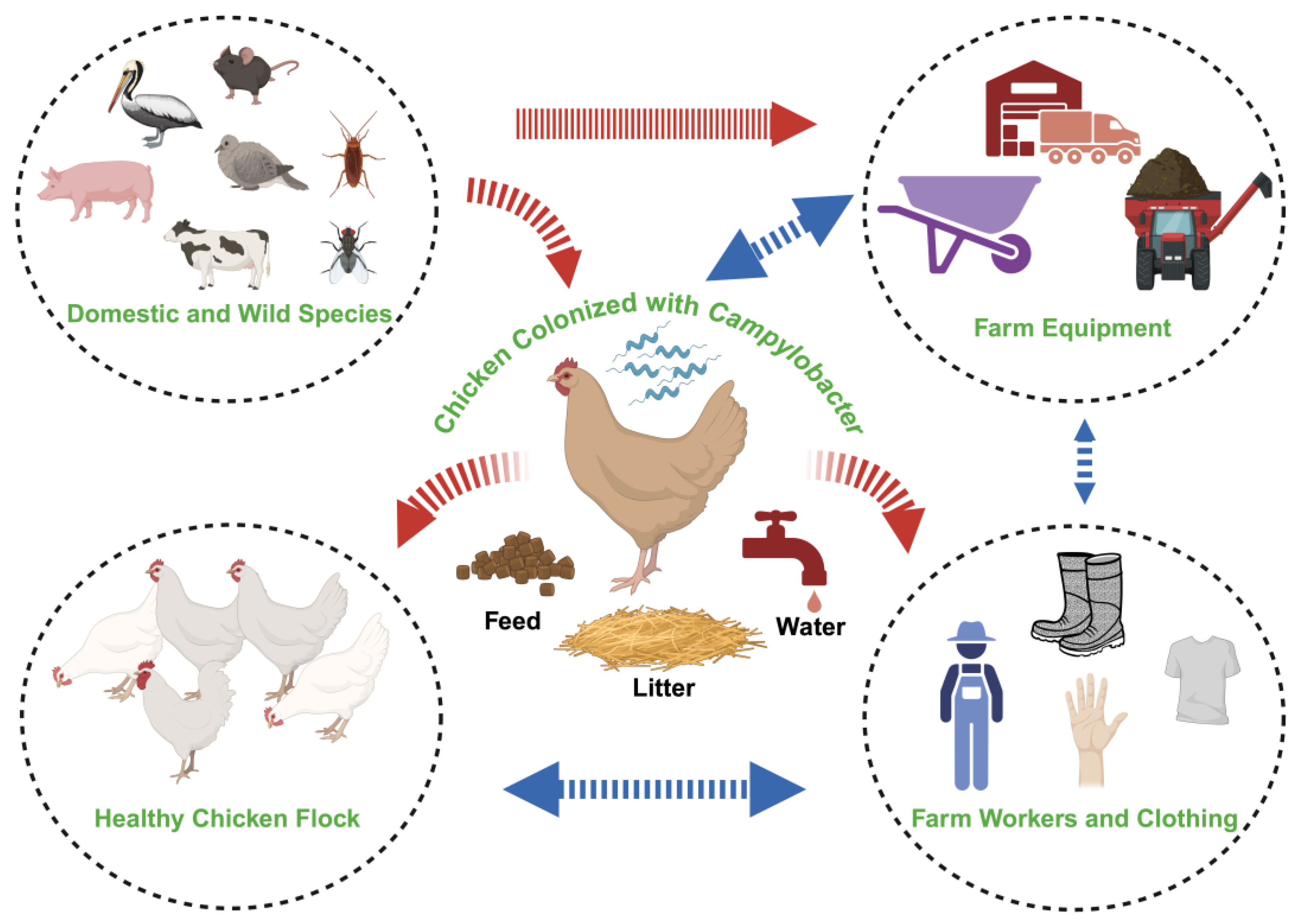 Preprints 172256 g002