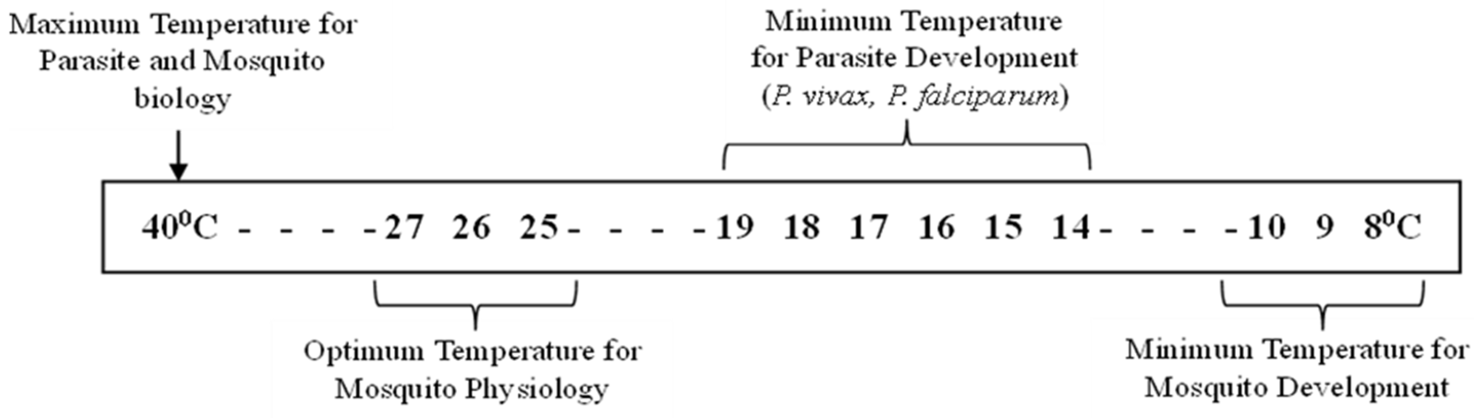 Preprints 150209 g002
