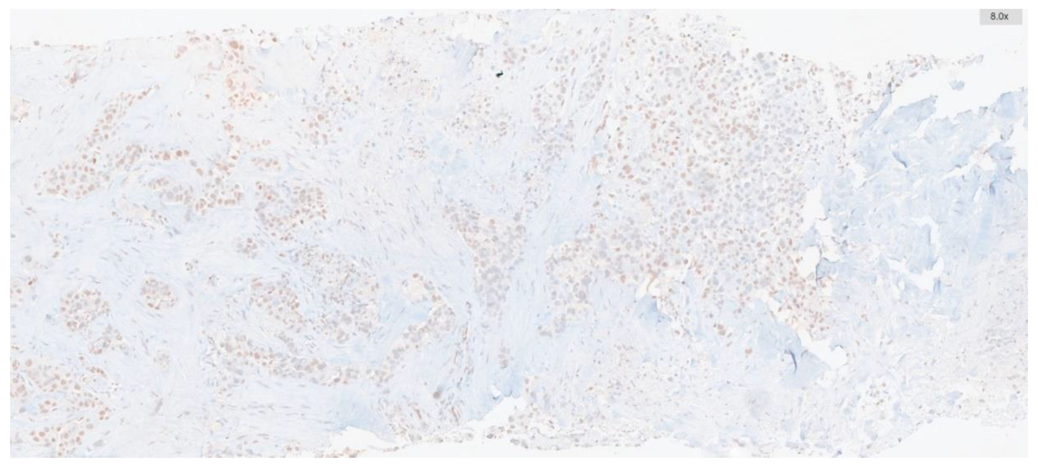 Preprints 153171 g001