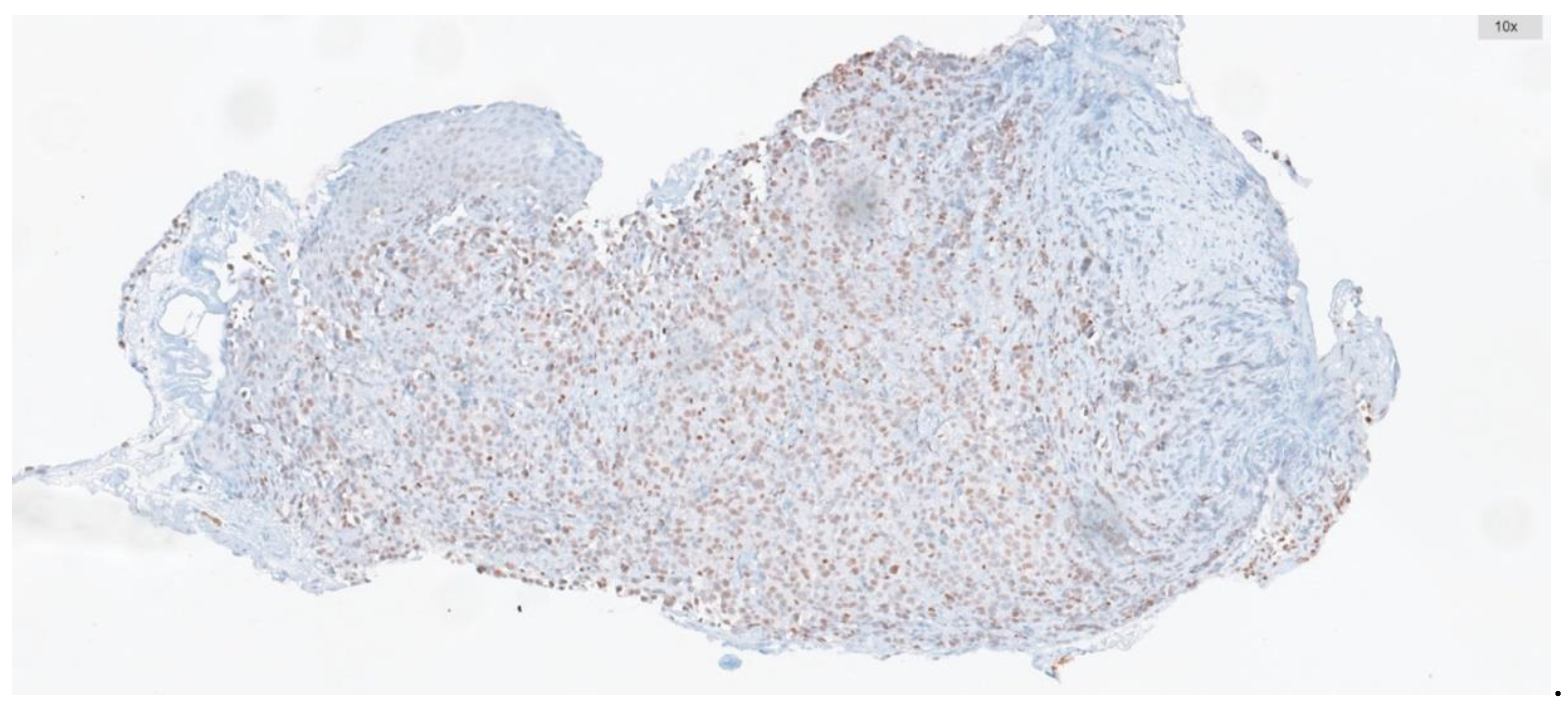 Preprints 153171 g002