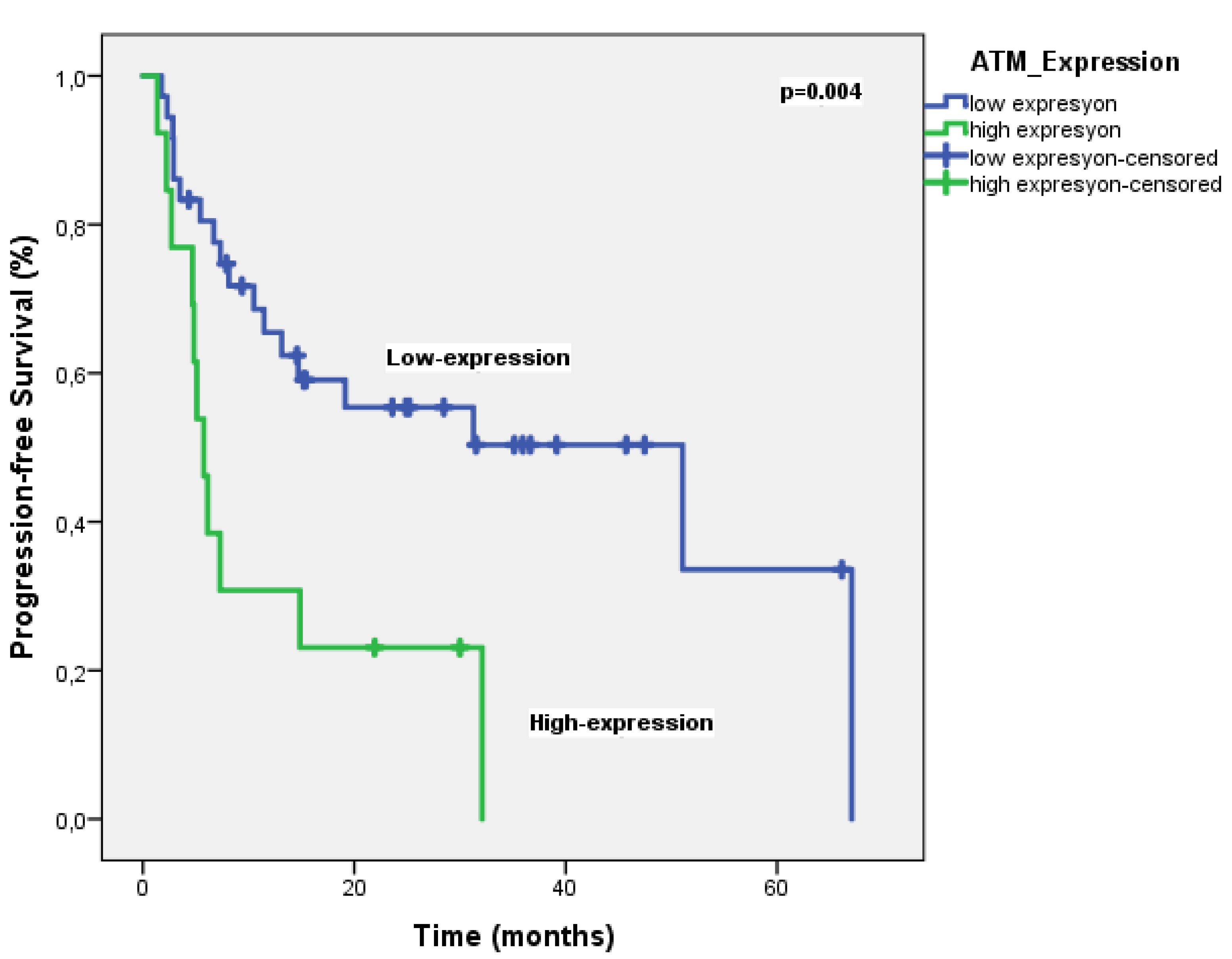 Preprints 153171 g003
