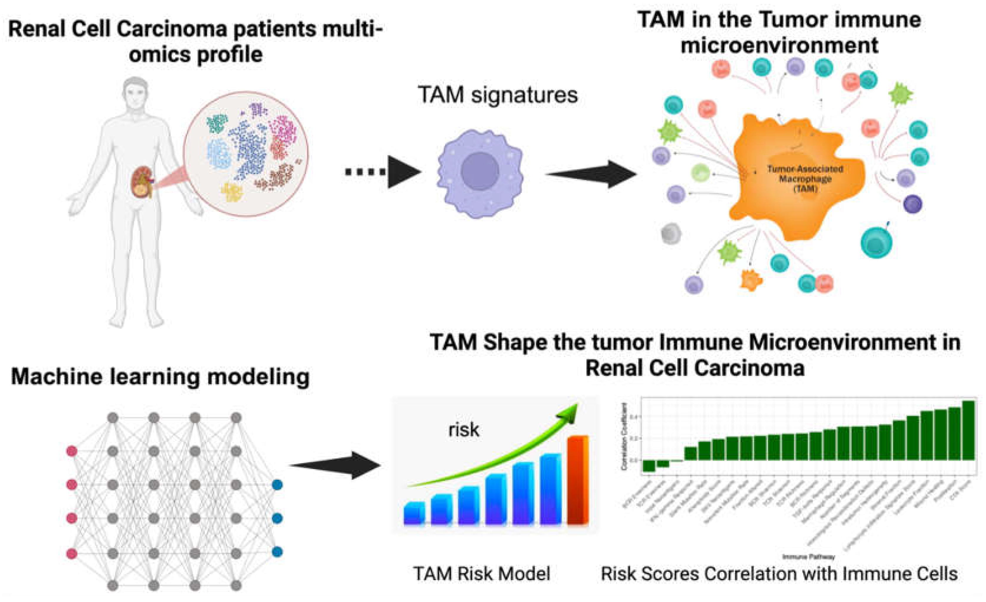 Preprints 158370 g001