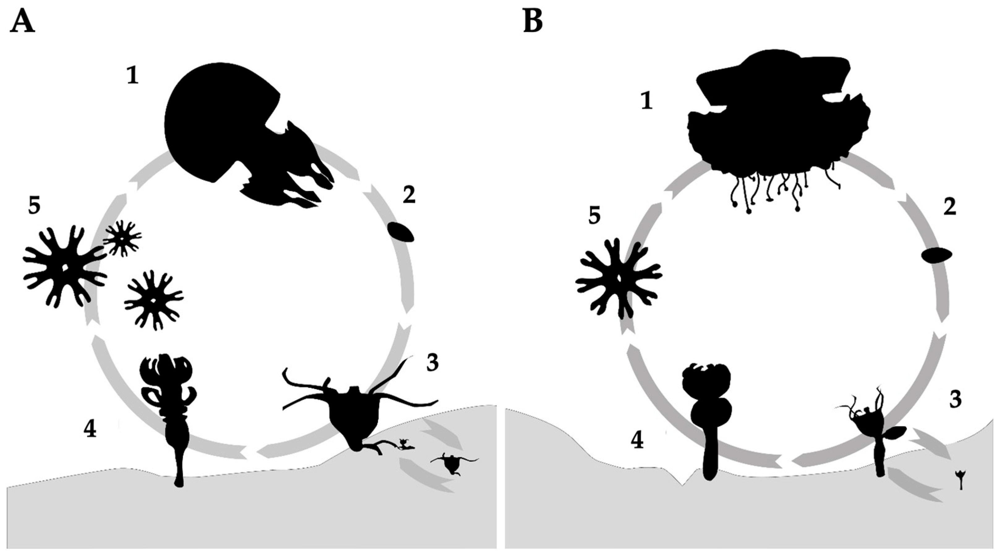 Preprints 155858 g001