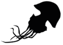 Preprints 155858 i025