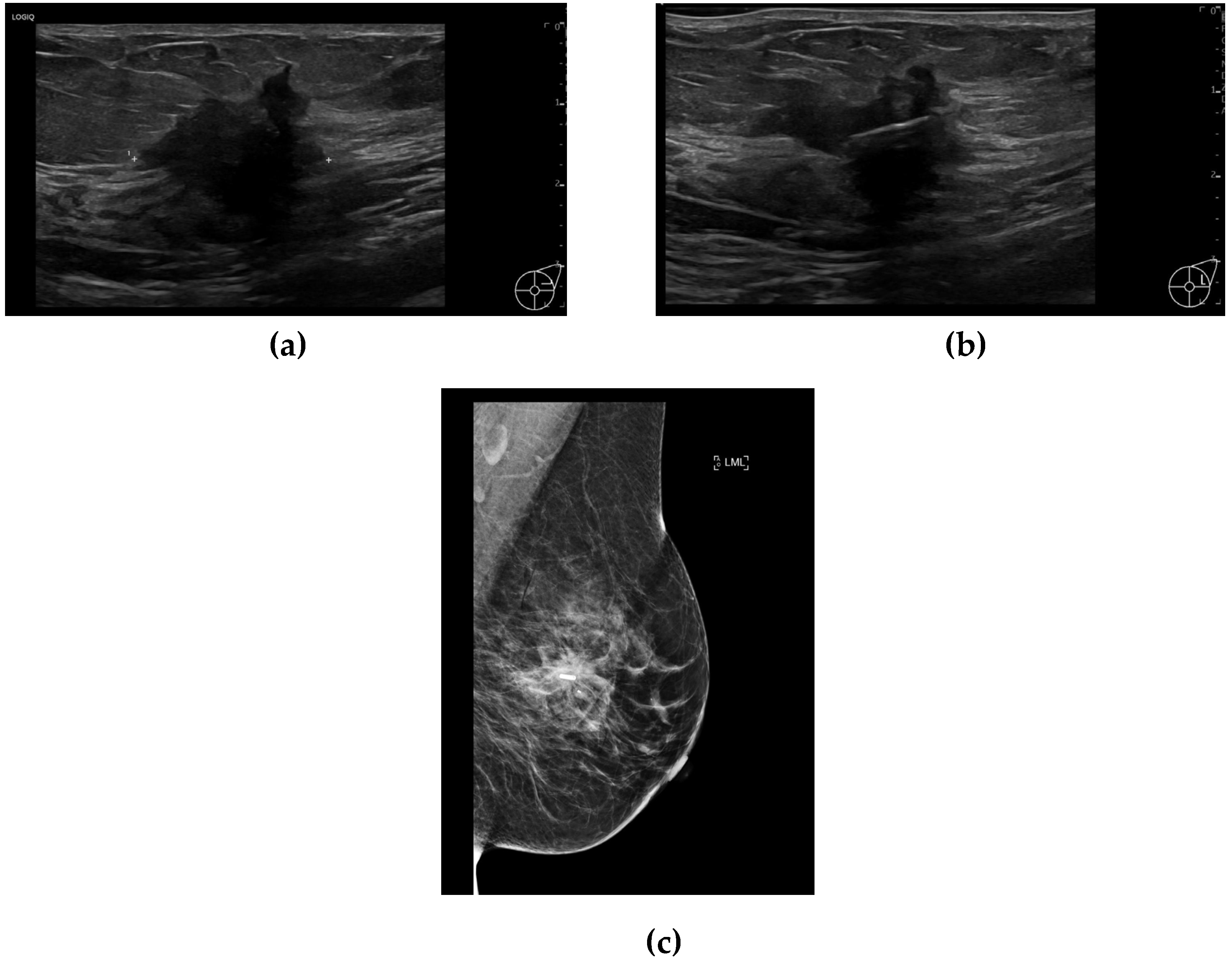 Preprints 148469 g001