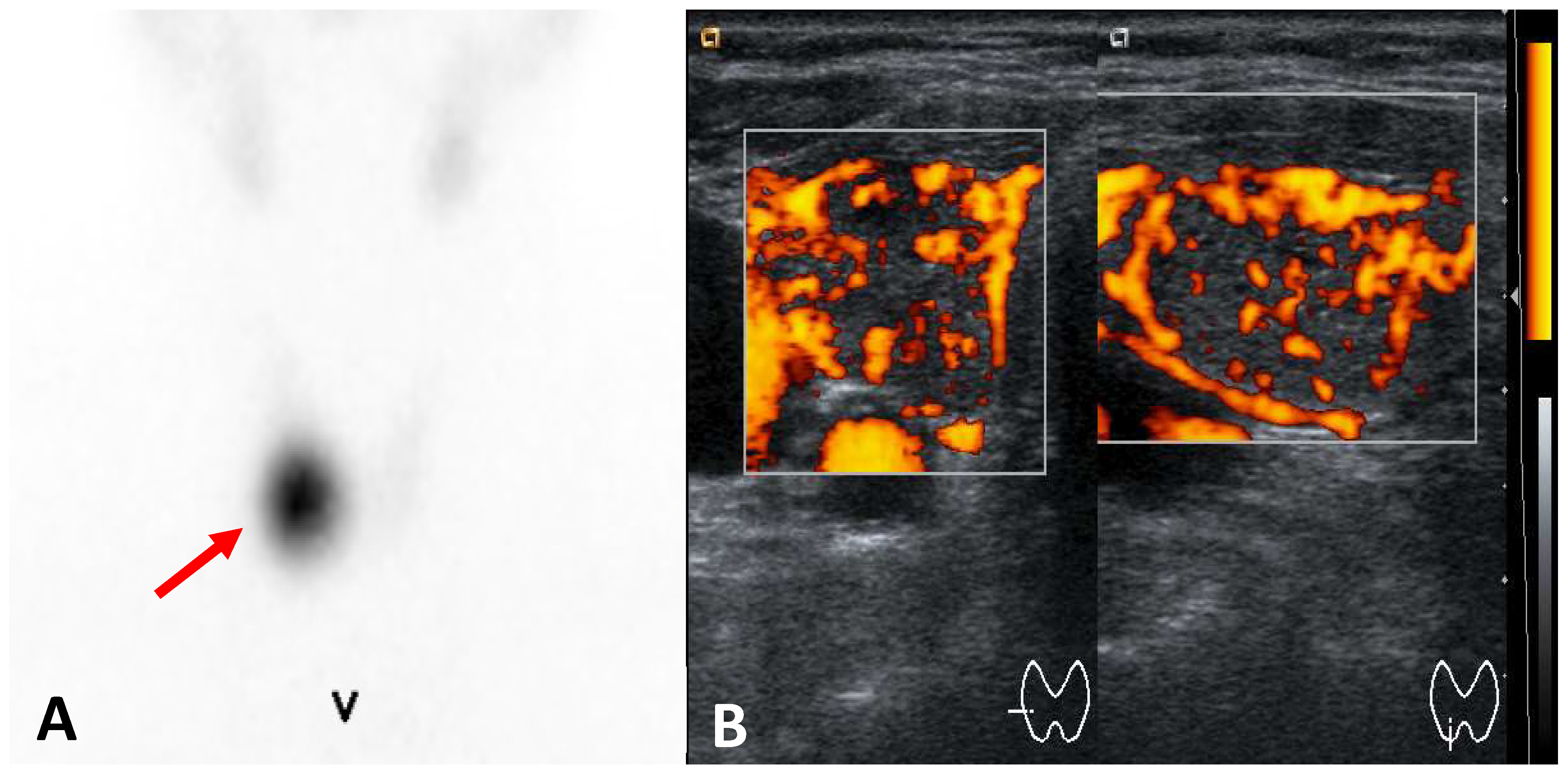 Preprints 156102 g002