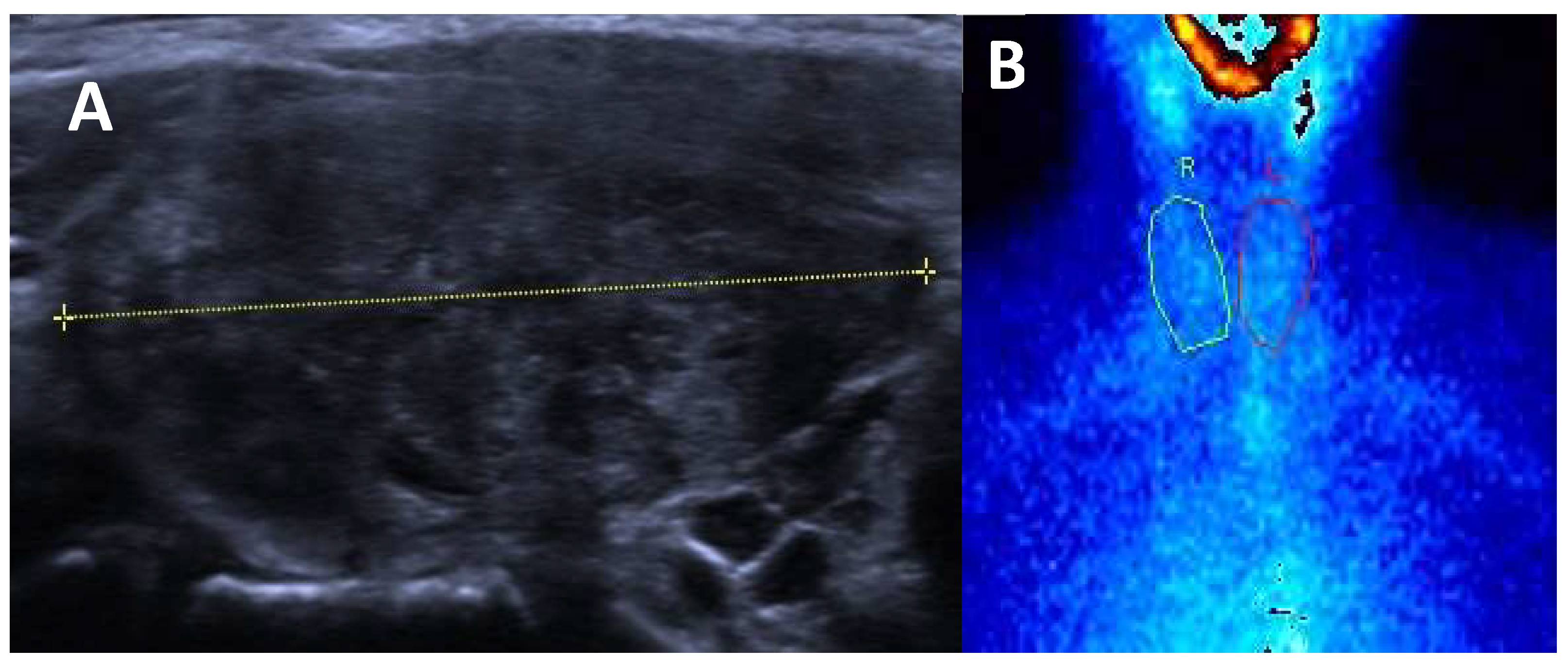 Preprints 156102 g003