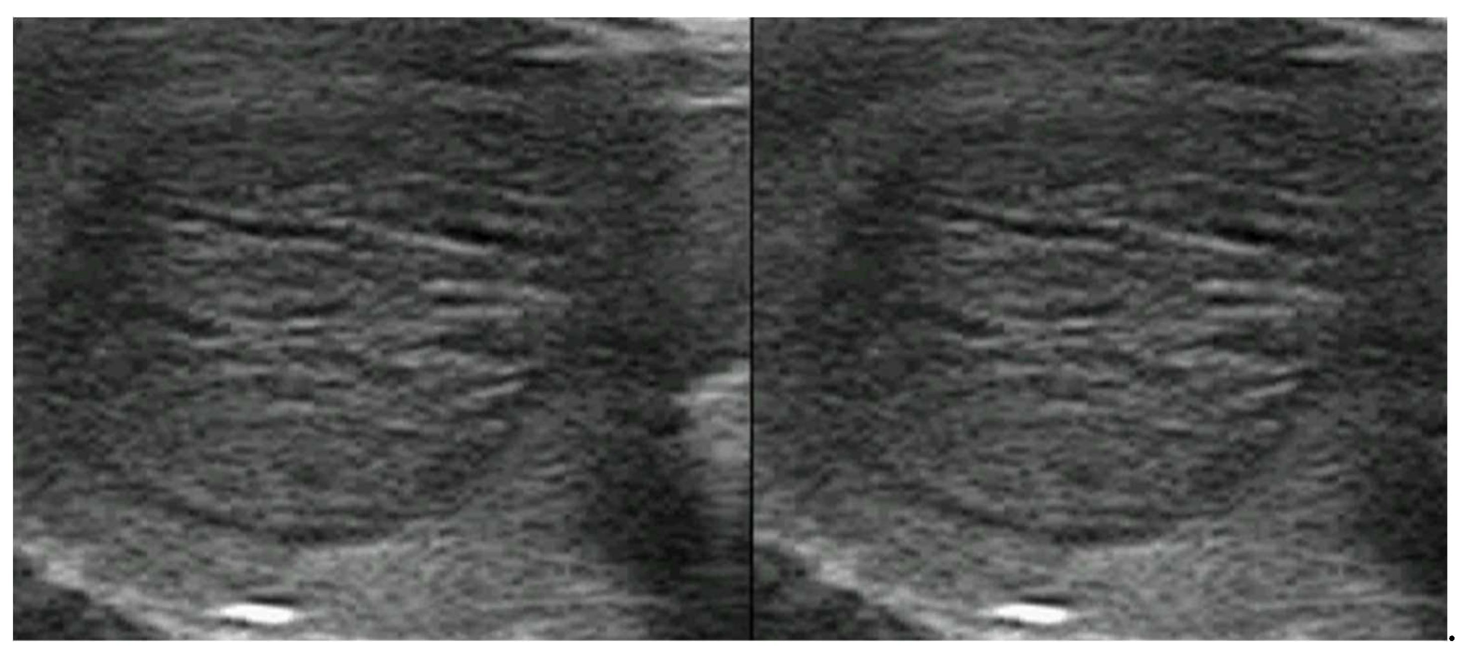 Preprints 156102 g004